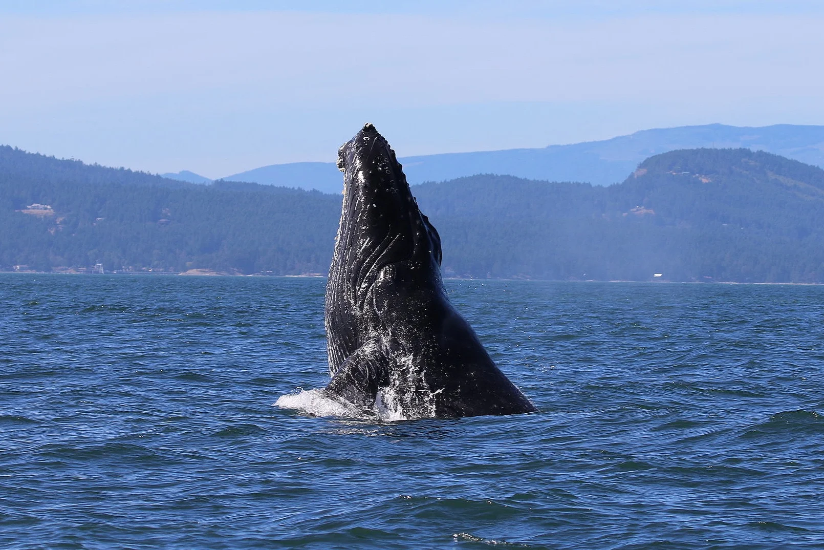 August 28, 2019 - Adventuring all along the Strait of Georgia