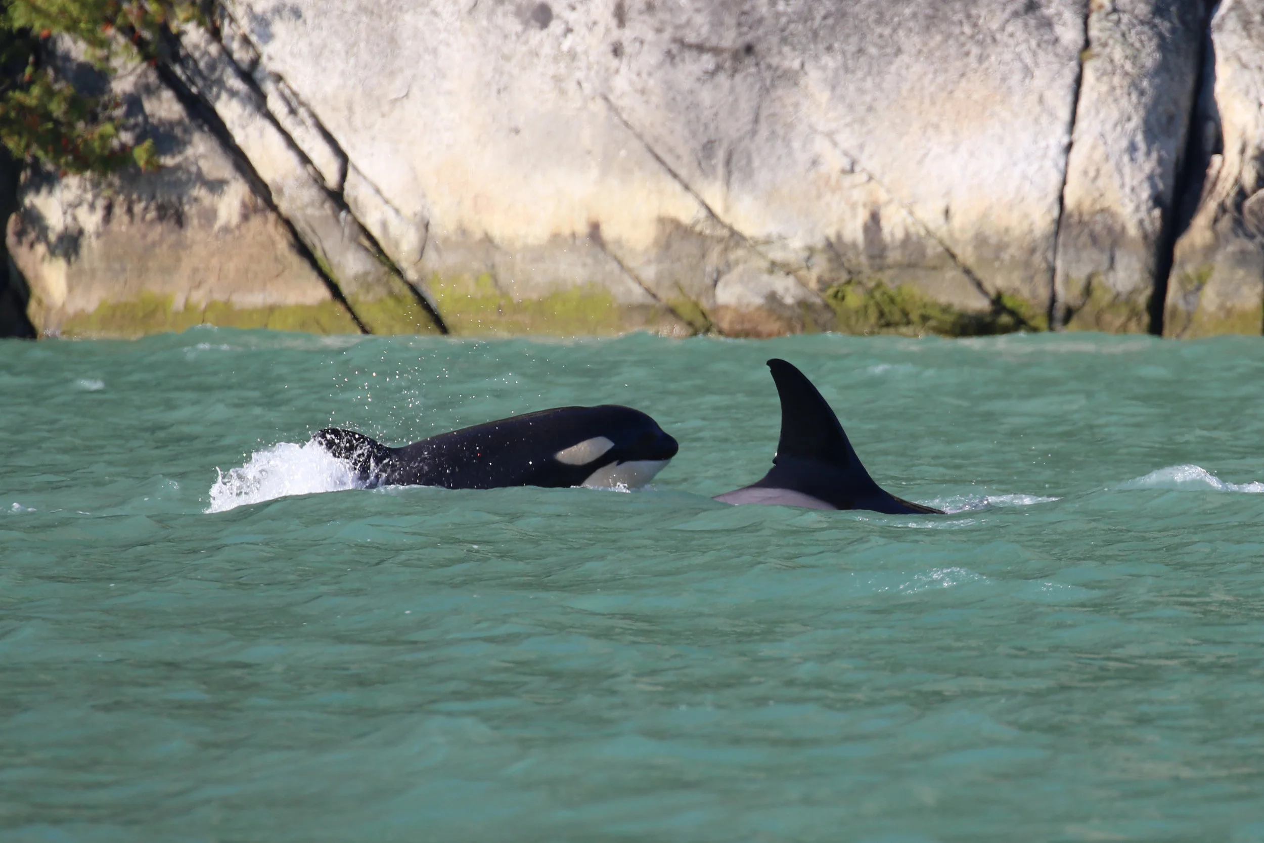 September 6, 2019 - A beautiful trip to Howe Sound to see the T036s!