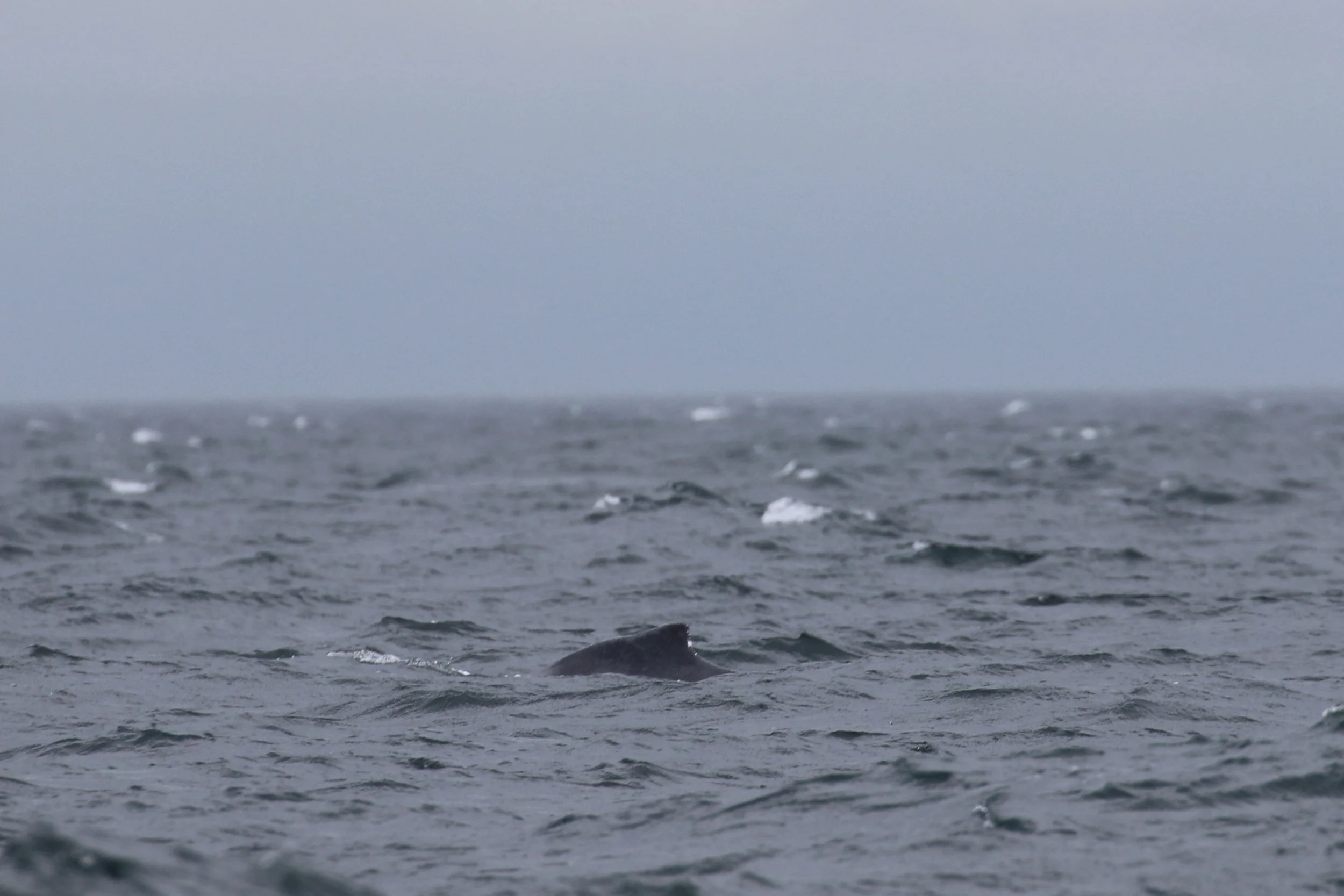 September 14, 2019 - A wet but fun day! 