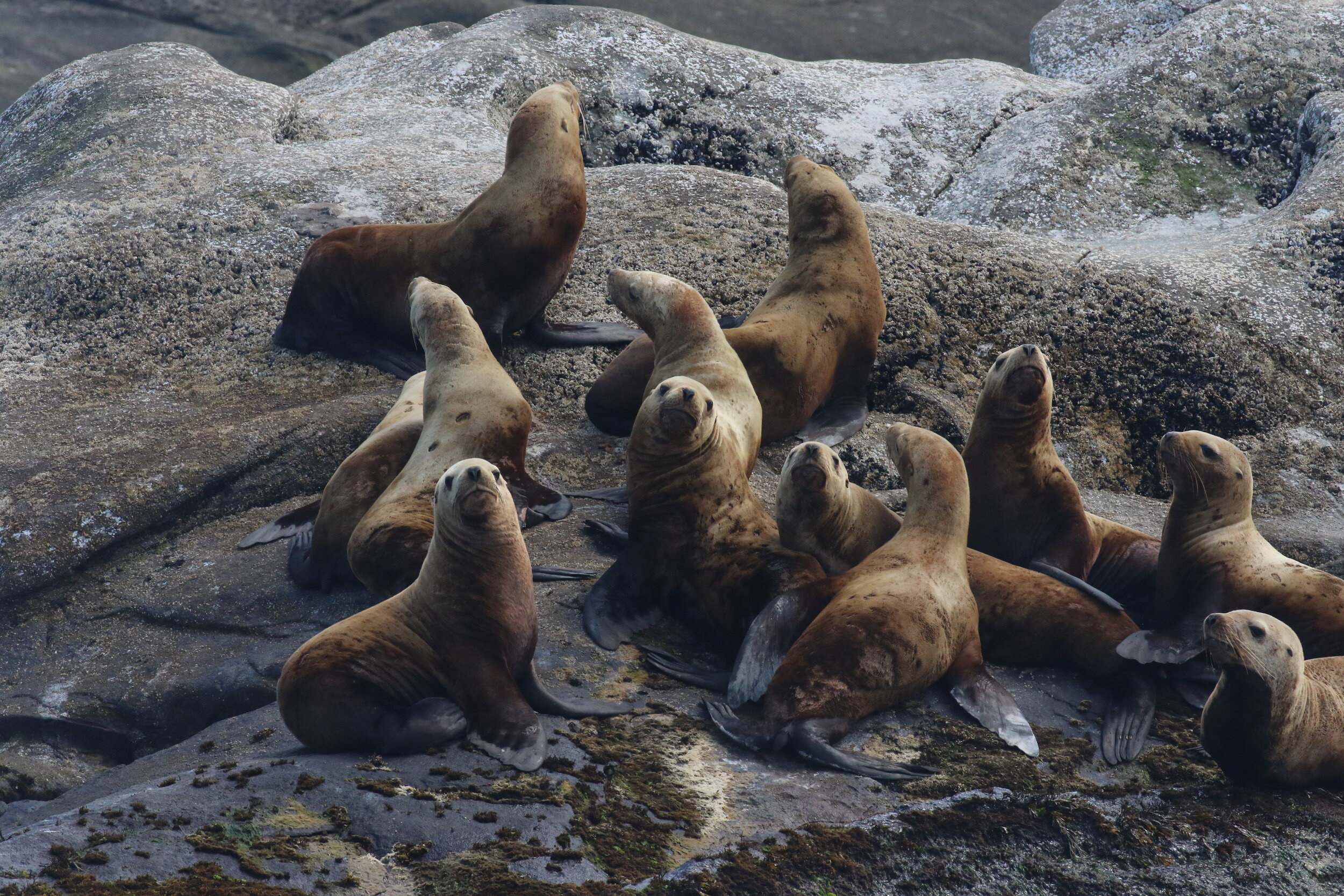 Photo by Natalie Reichenbacher.