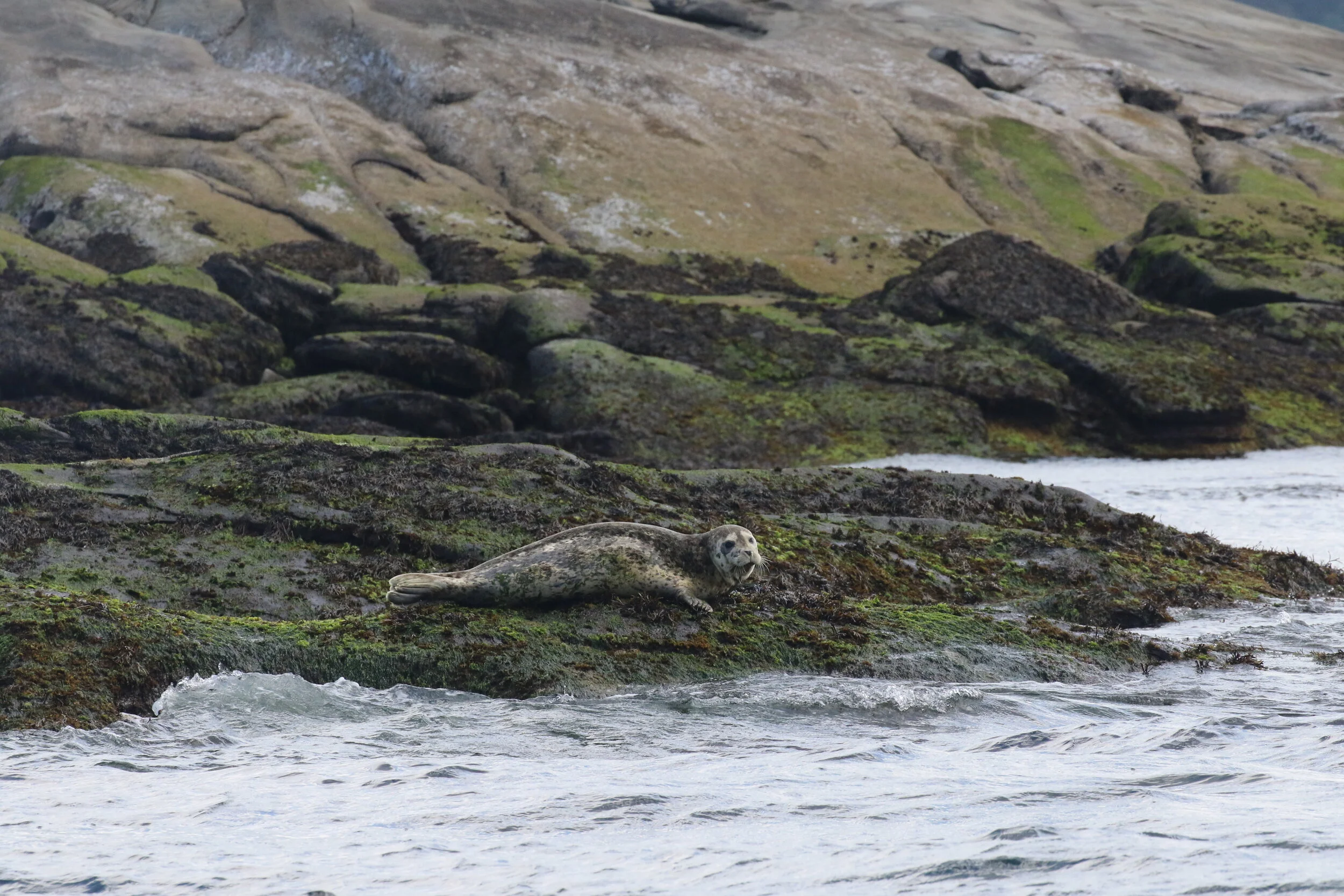 Photo by Natalie Reichenbacher.