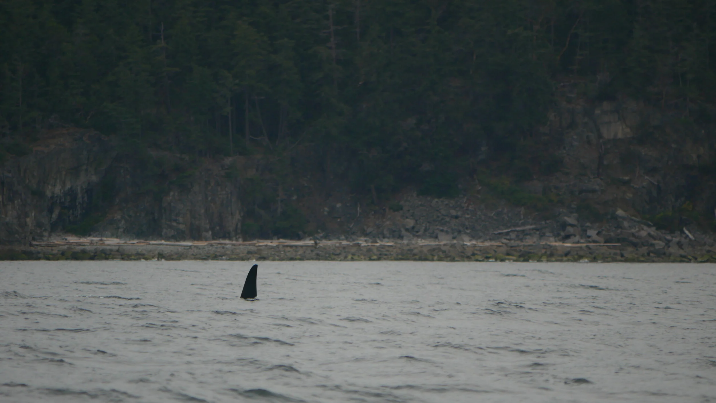 Aug 19, 2020 - T101's by Welcome Beach, Sunshine Coast!