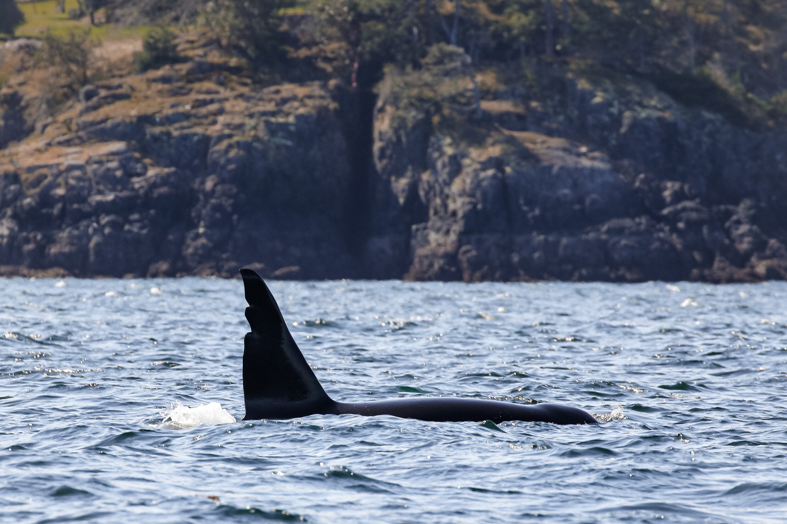 April 11, 2021 - T-Party near Nanaimo!