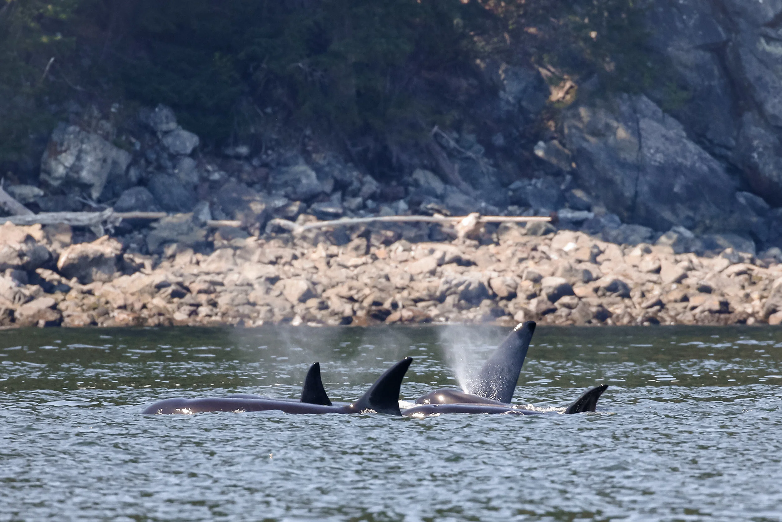 April 16, 2021 - A sunny day with the T49As in Howe Sound