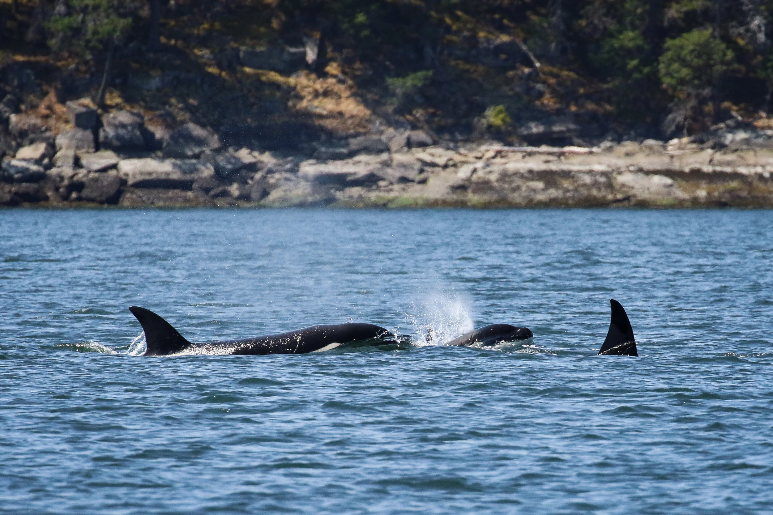 July 12, 2021 - T46Bs in Trinchomali Channel