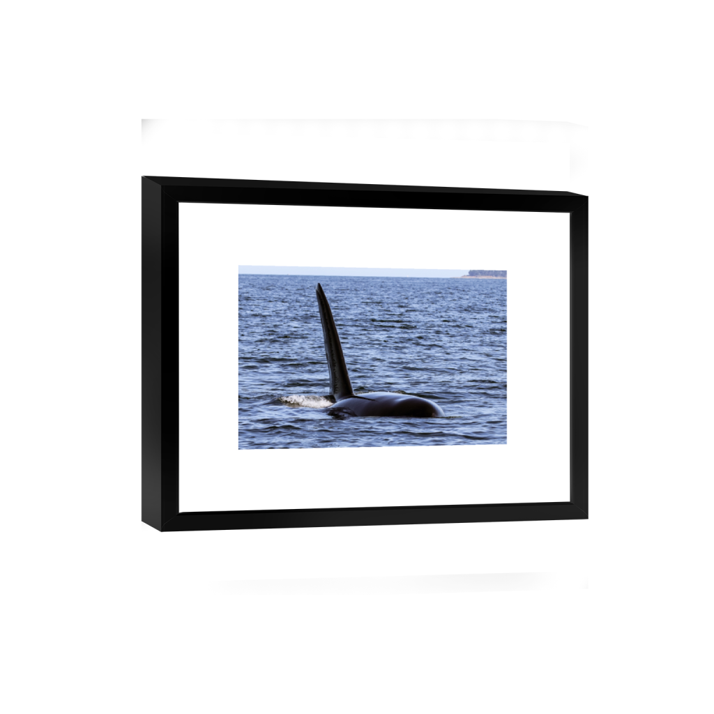 smartframe_rectangle2_3_0_0_4345_2897_0_false_ffffff_0_0.png