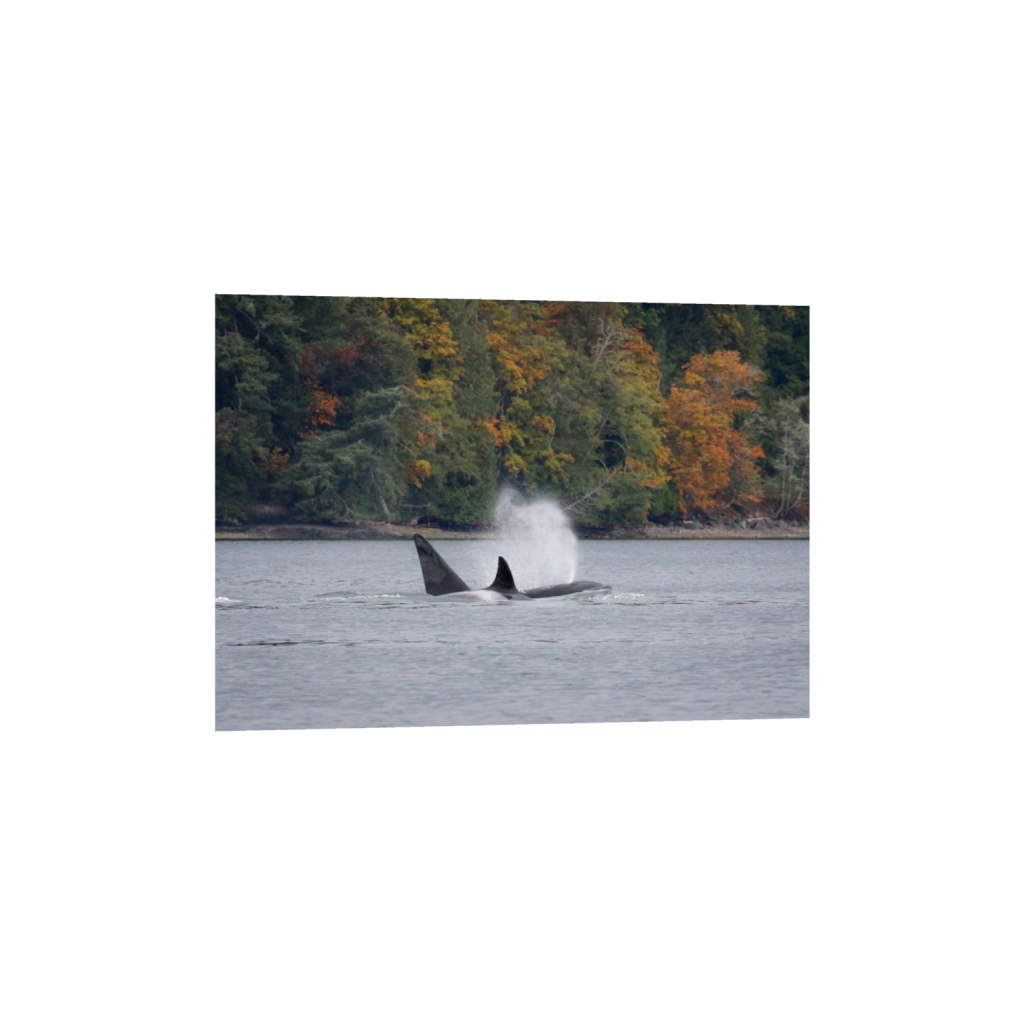 fineartprints_rectangle5_7_33_0_956_683_0_false_ffffff_0_0.png