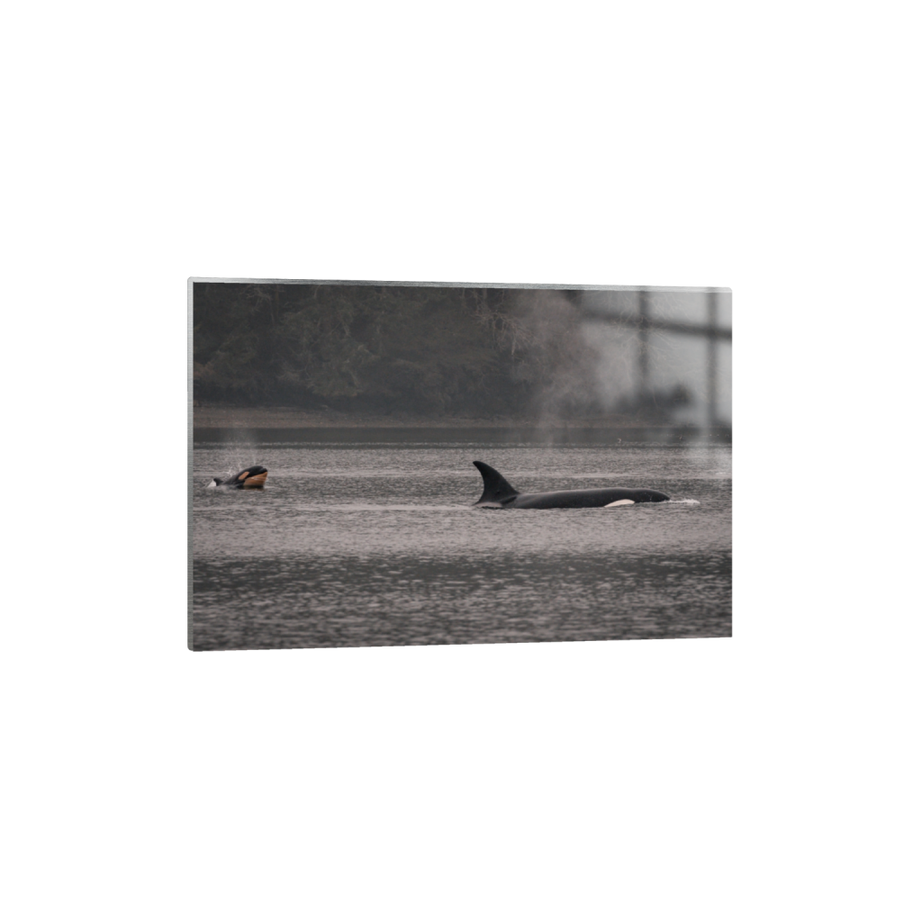metalprint_rectangle2_3_0_0_4933_3288_0_false_ffffff_0_0.png