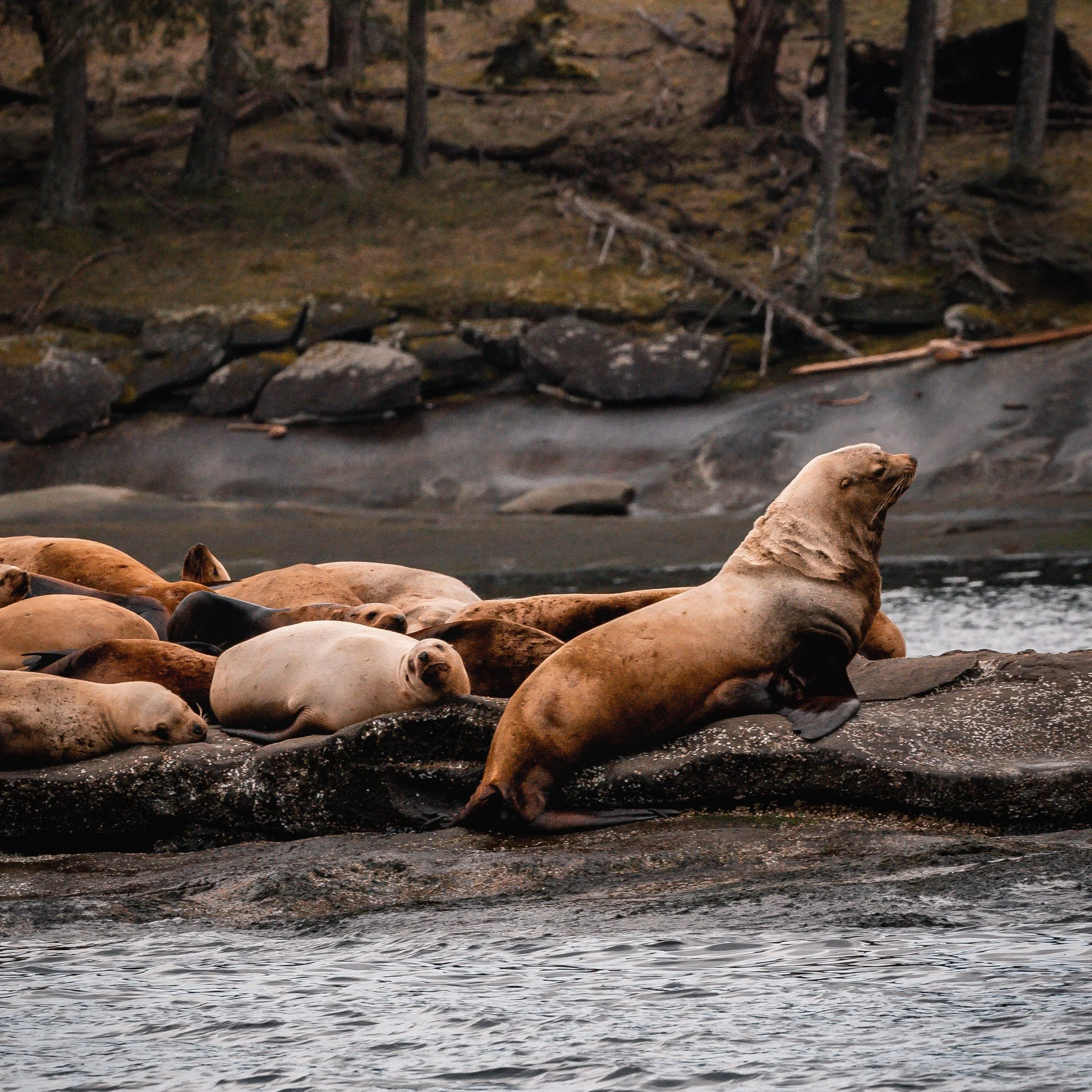 March 15, 2022 - Touring the Gulf Islands