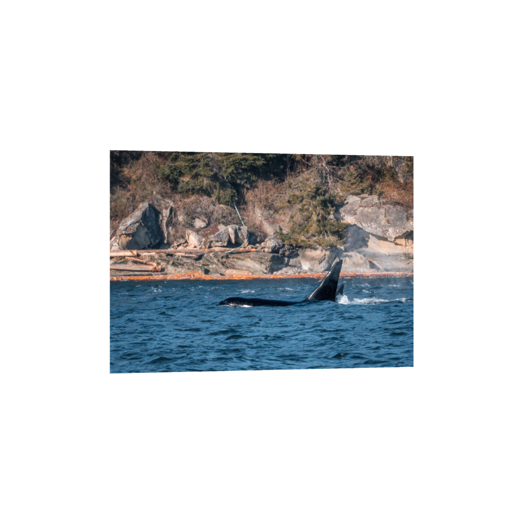 fineartprints_rectangle5_7_122_0_3428_2449_0_false_ffffff_0_0.png