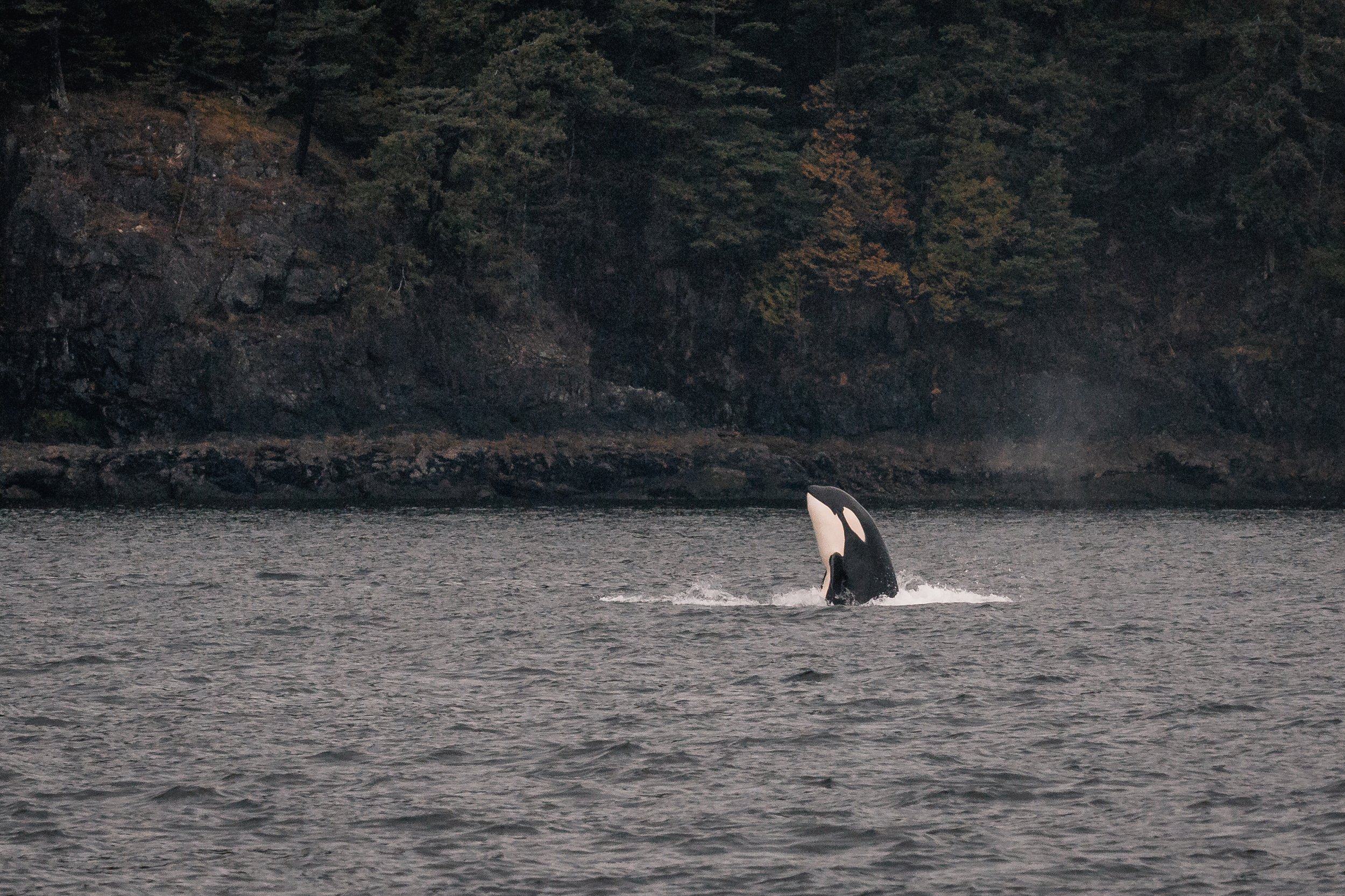 March 23, 2022 - T-Party in Howe Sound