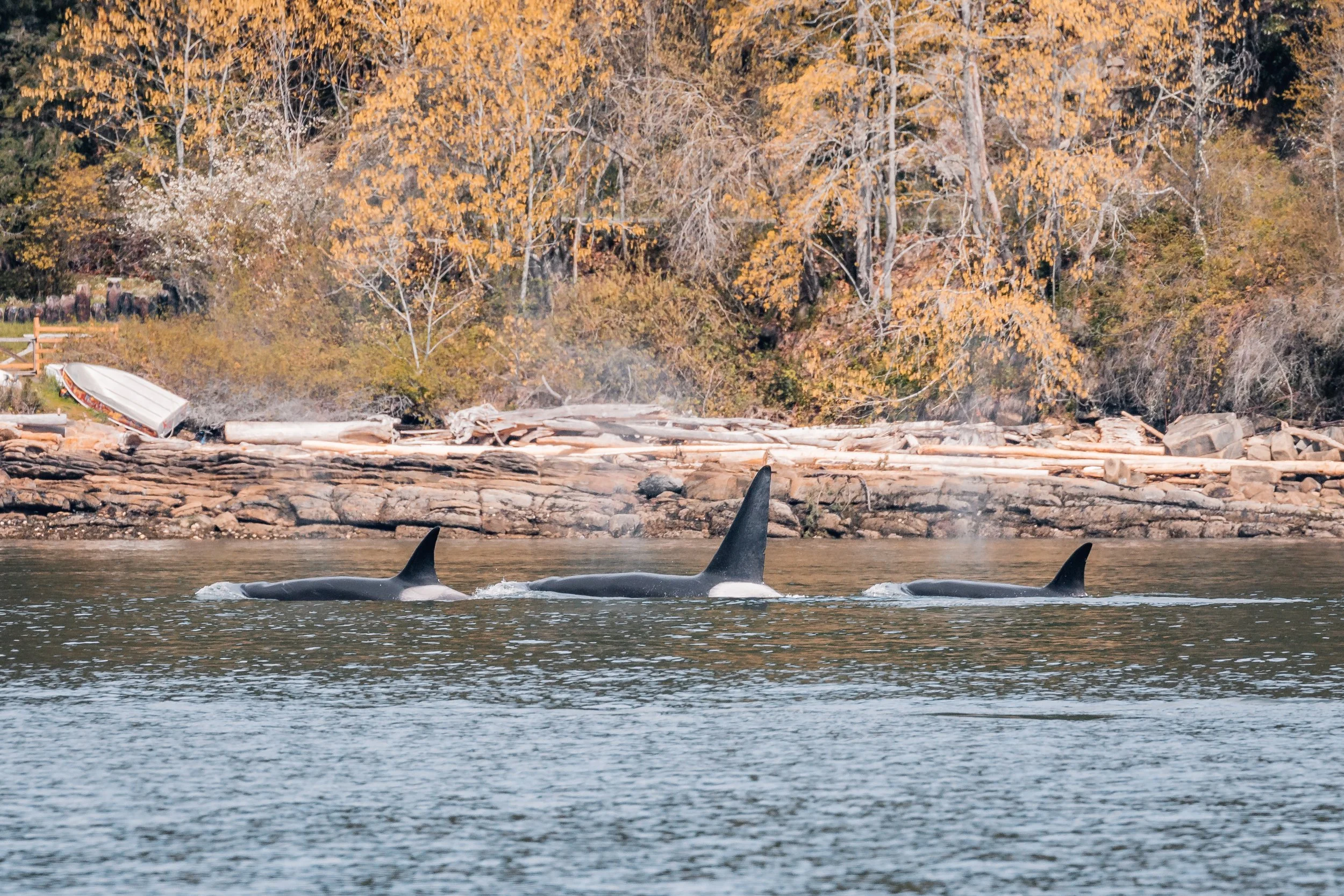 April 9, 2022 - T049A's and T049B's