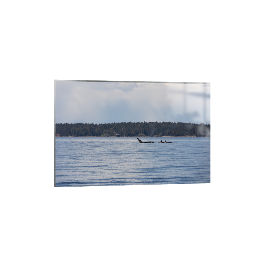 metalprint_rectangle2_3_0_0_5472_3648_0_false_ffffff_0_0.png