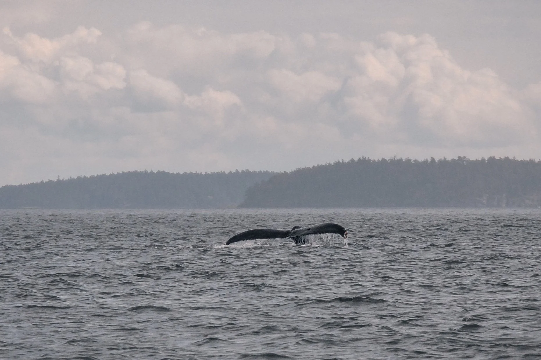 May 9, 2022 - To Washington and back