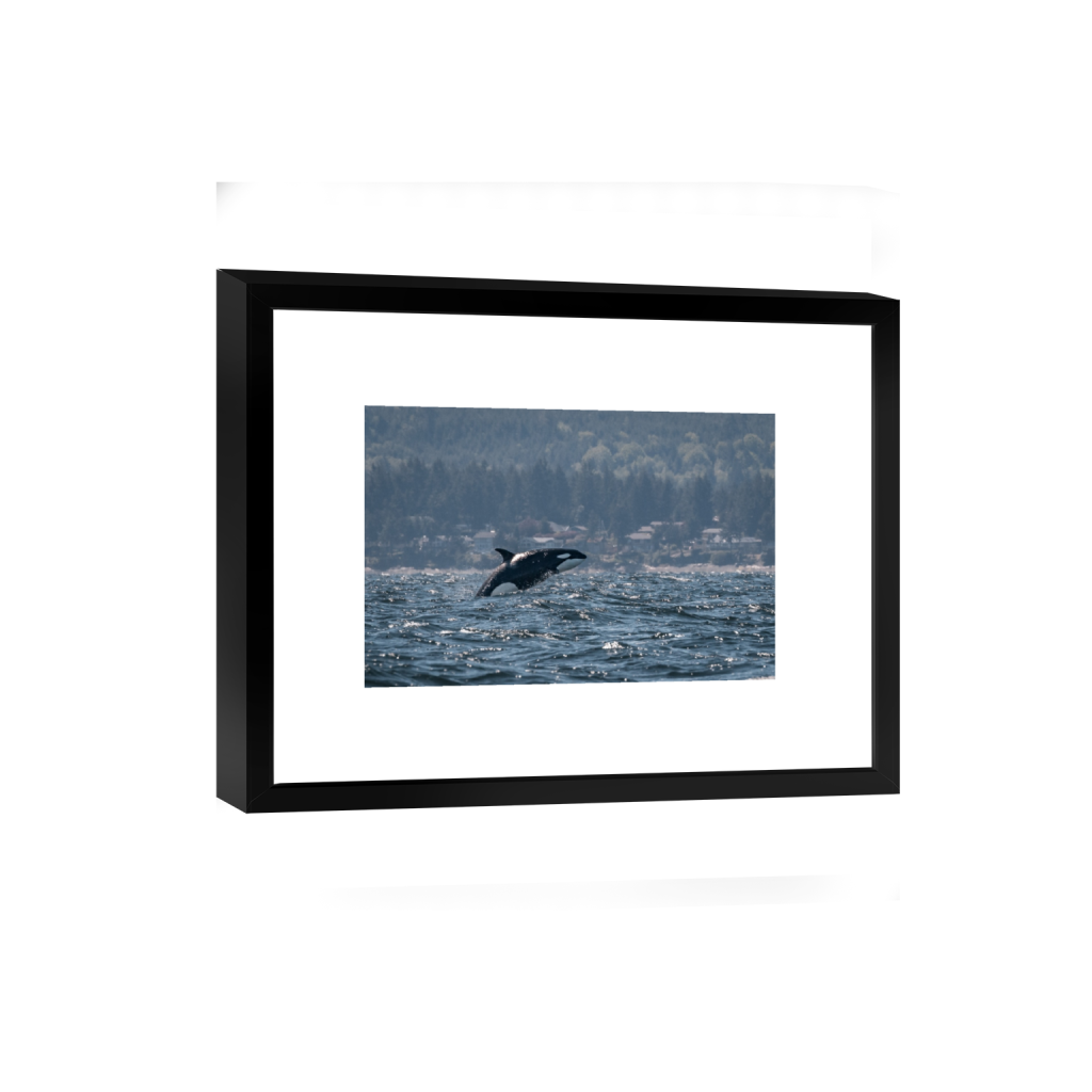 smartframe_rectangle2_3_0_0_2611_1740_0_false_ffffff_0_0.png
