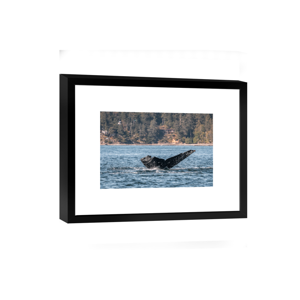 smartframe_rectangle2_3_0_0_5155_3437_0_false_ffffff_0_0.png