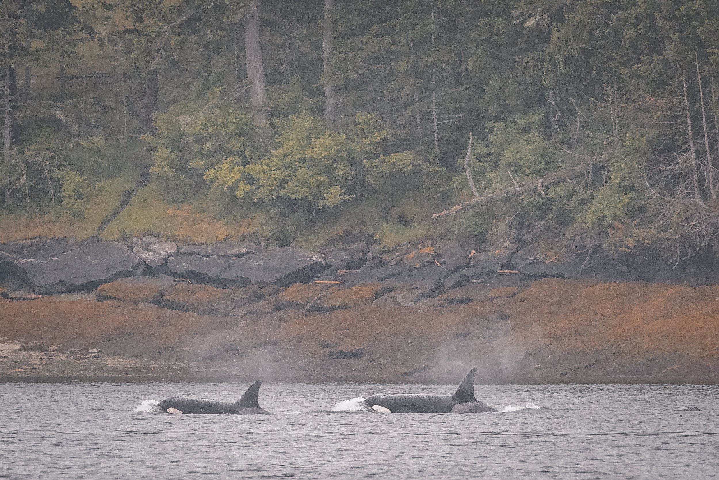 May 30, 2022 - Double species day all day!