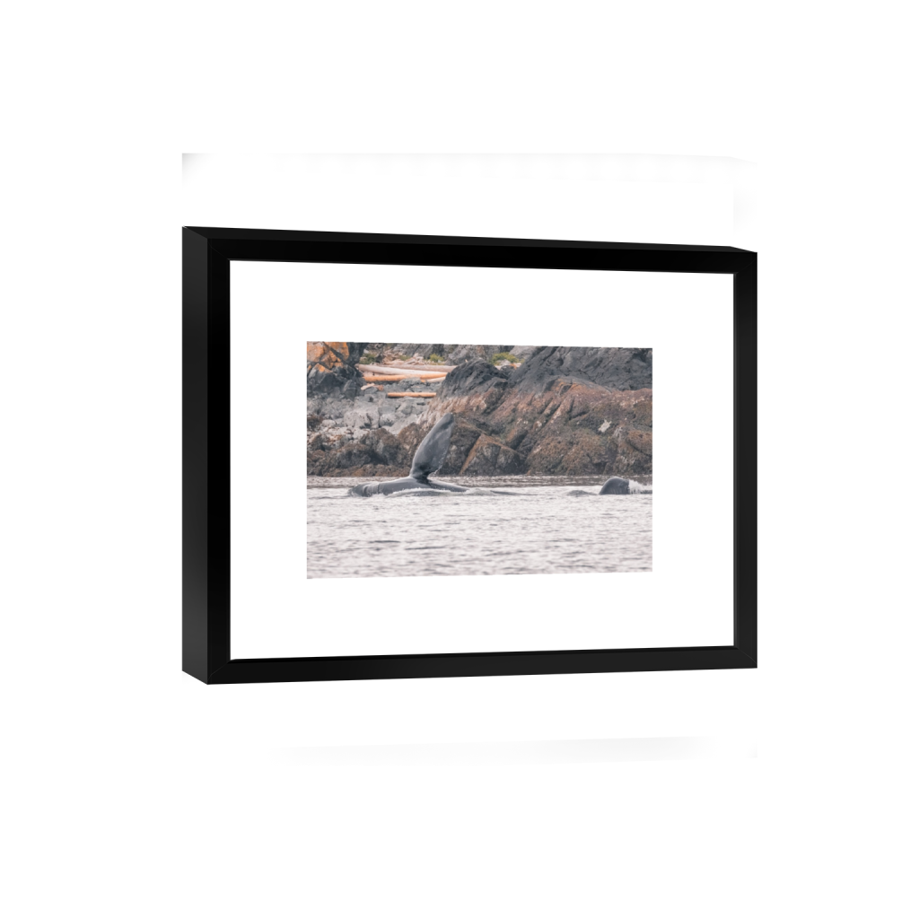 smartframe_rectangle2_3_0_0_3733_2488_0_false_ffffff_0_0.png