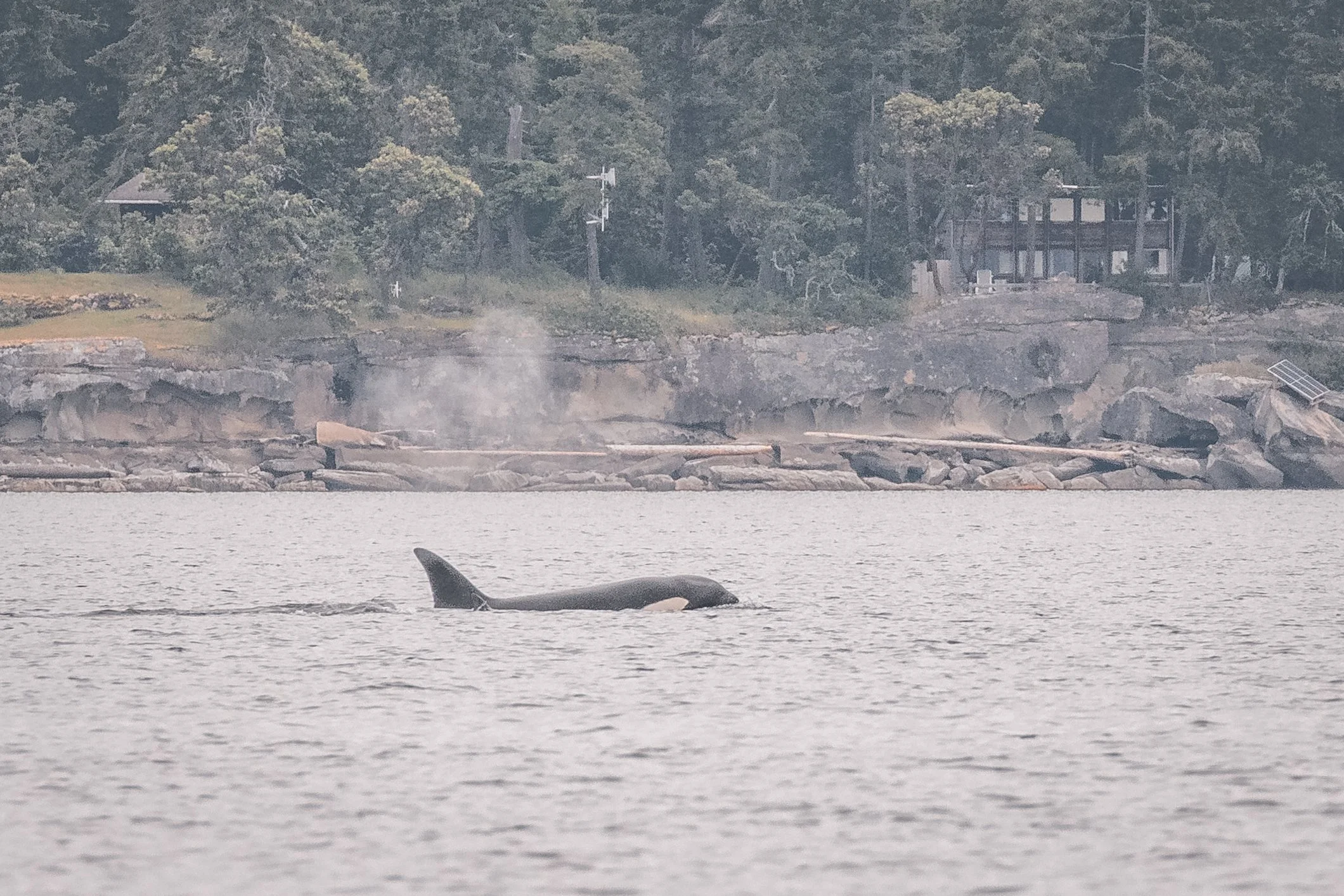 June 6, 2022 - T086A's, T087, &amp; the T124A4's South of Dodd Narrows