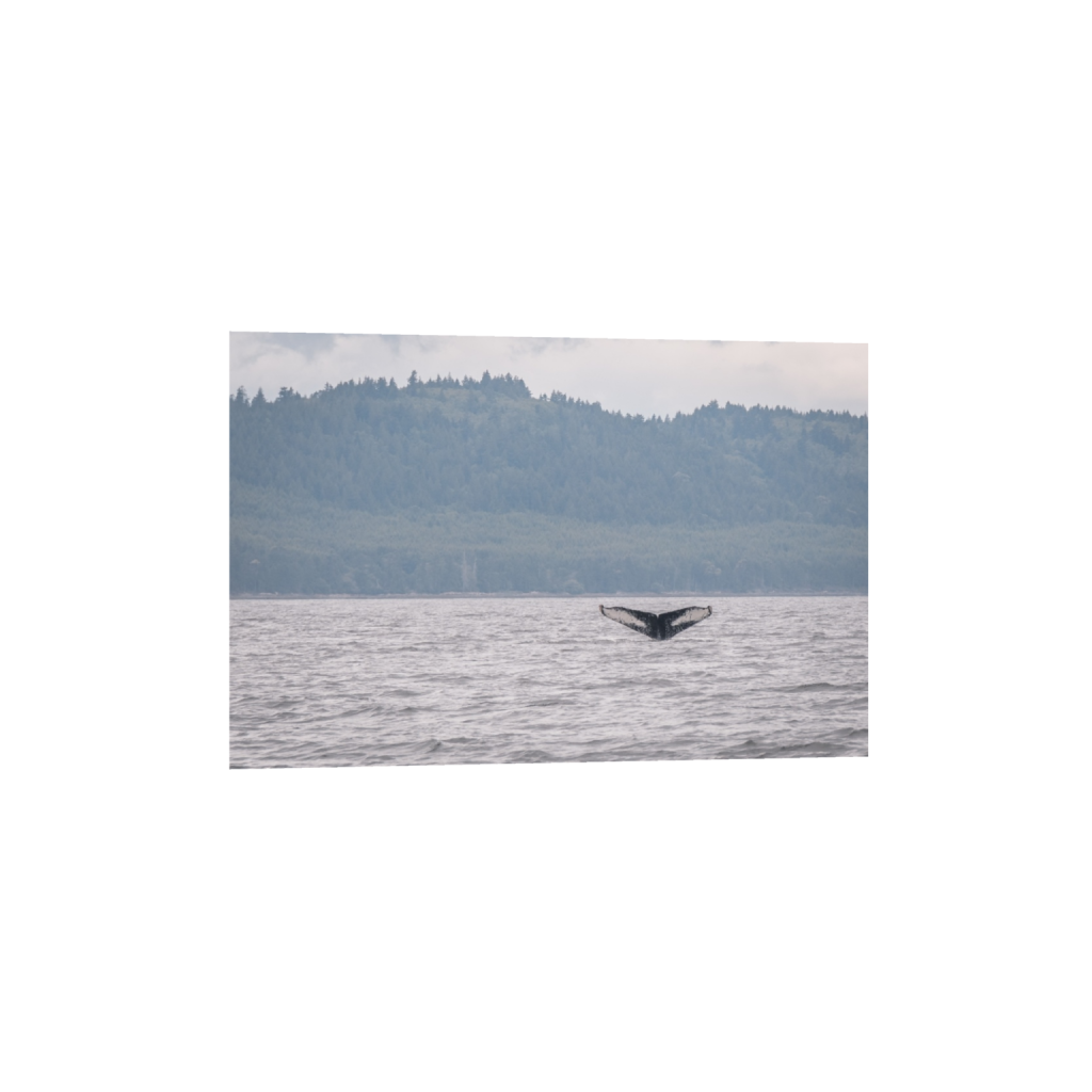 fineartprints_rectangle2_3_0_0_2947_1964_0_false_ffffff_0_0.png