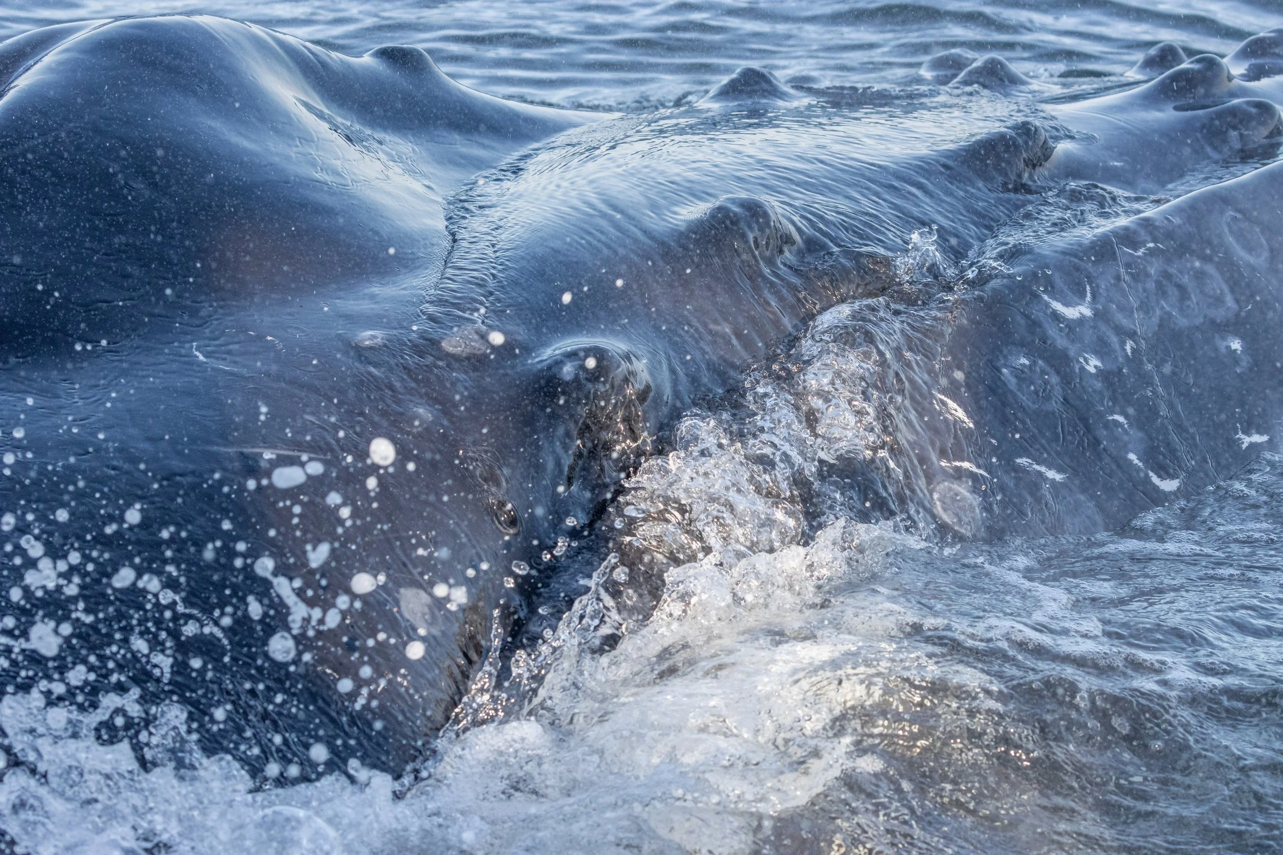 September 9, 2022, 3:30 PM - Eros, Sherwina, and T065A5 Indy