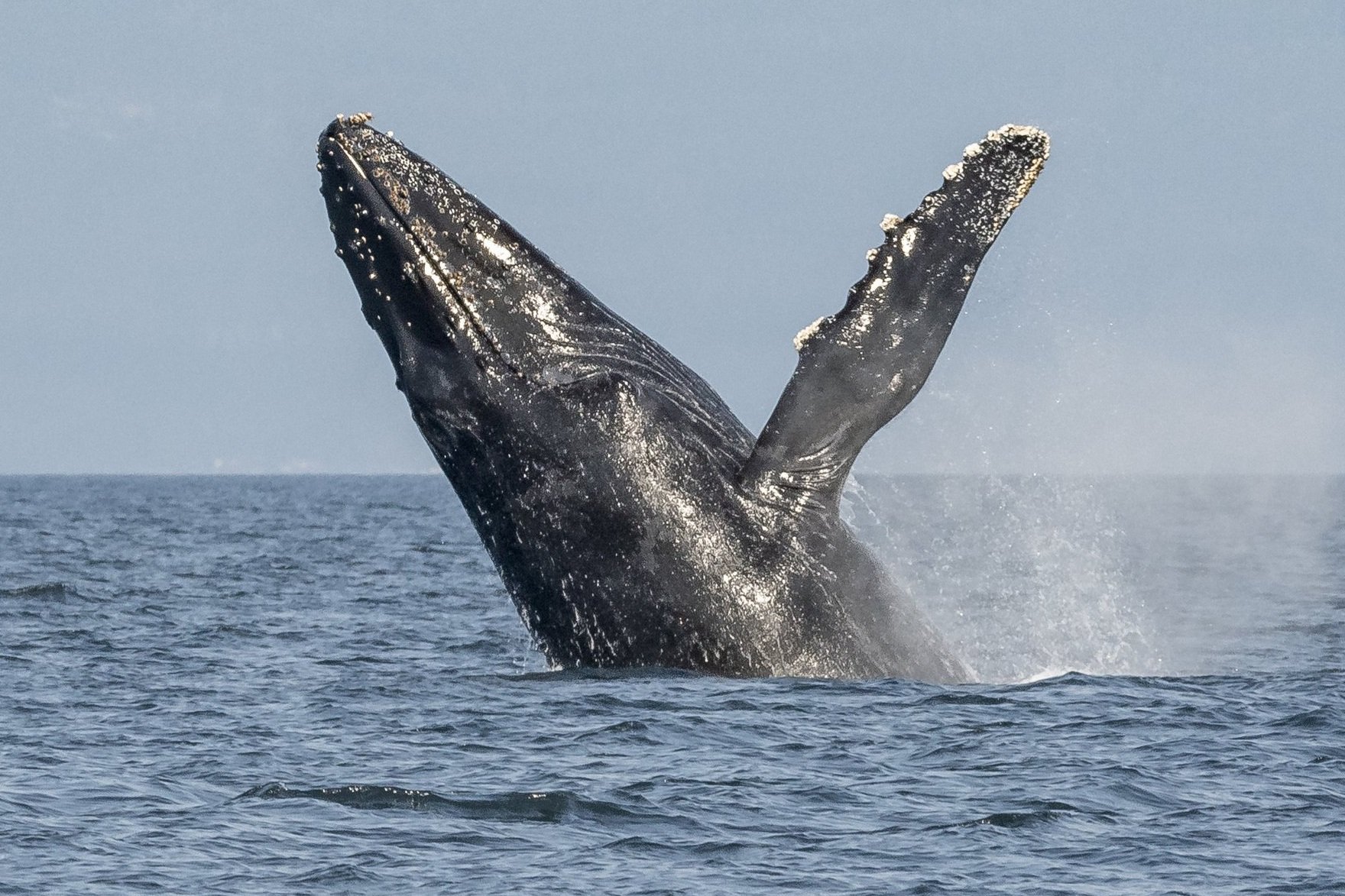 October 7, 2022 - Double Species day!