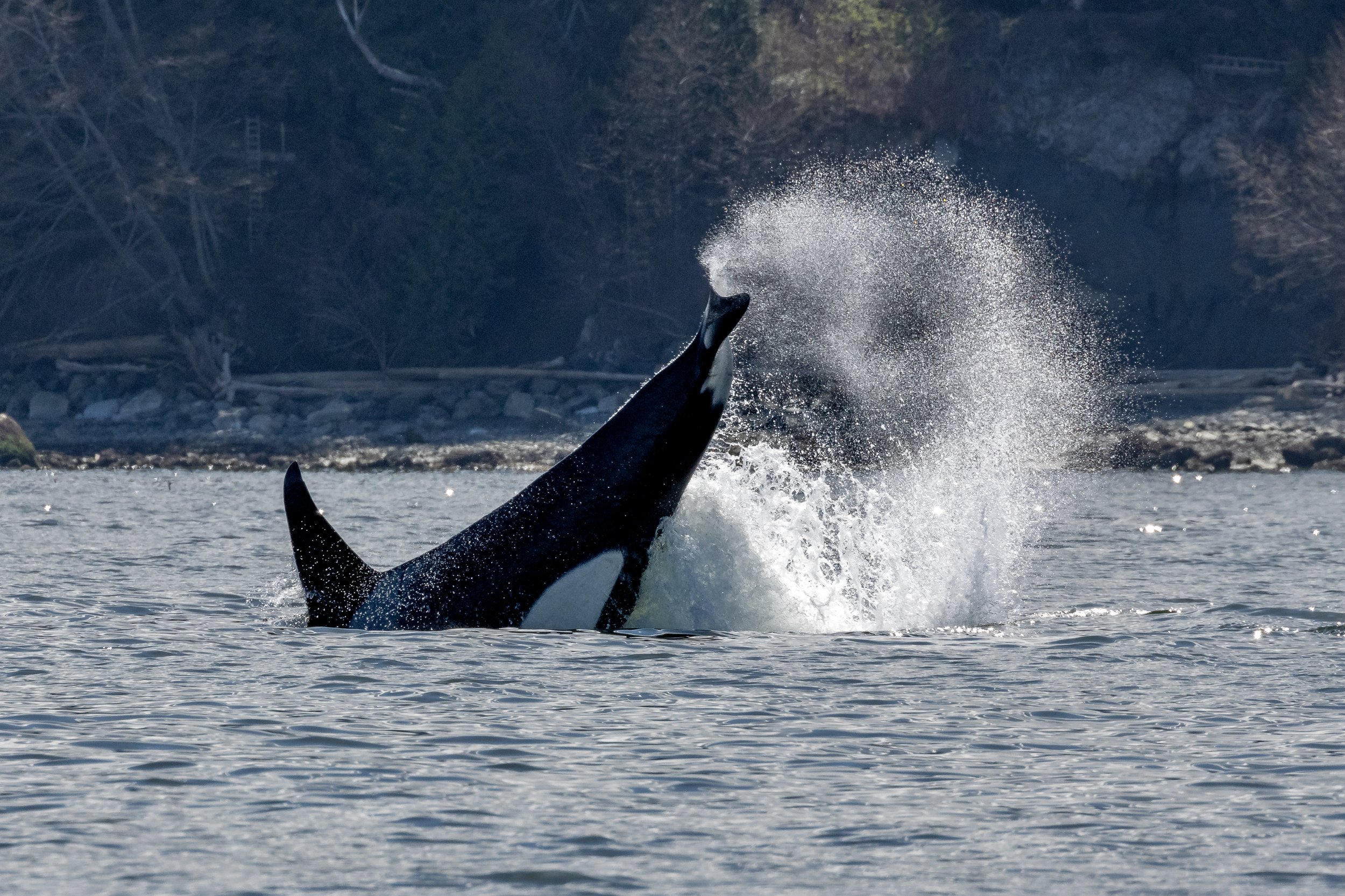 April 4, 2023 - Jude and Neilson right off Nanaimo!