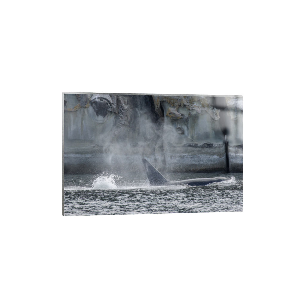 ptq_13_3_0_0_5008_3338_0_false_ffffff_0_0_.png