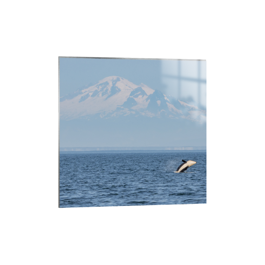ptq_13_0_586_0_3256_3256_0_false_ffffff_0_0_.png