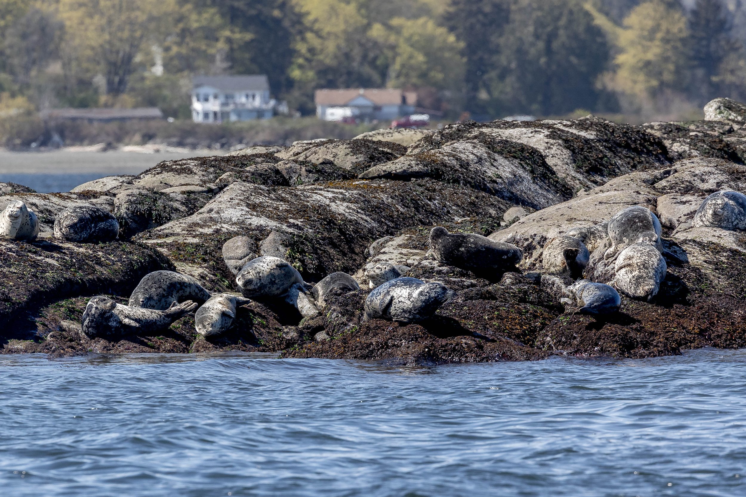 April 12, 2024 - A Sunny stroll through the Islands