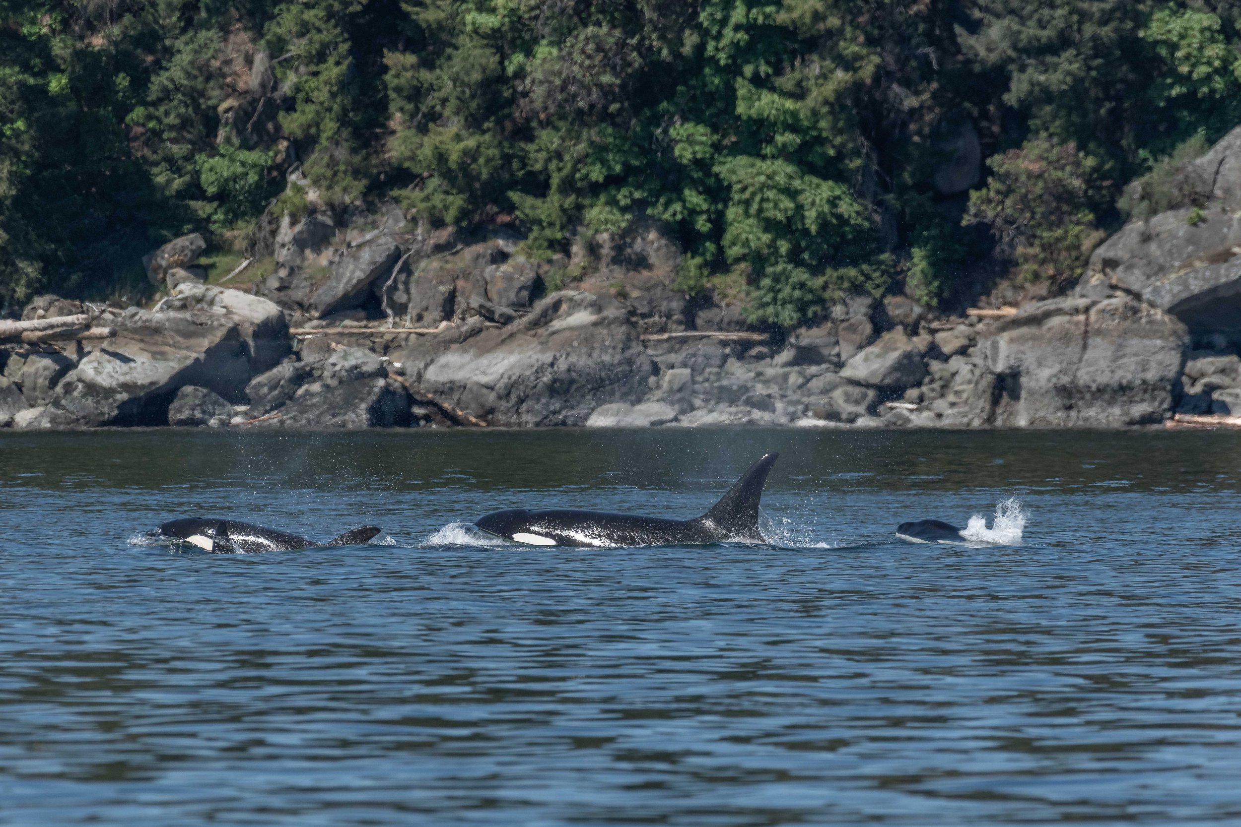 May 10, 2024 - Double Species Day!