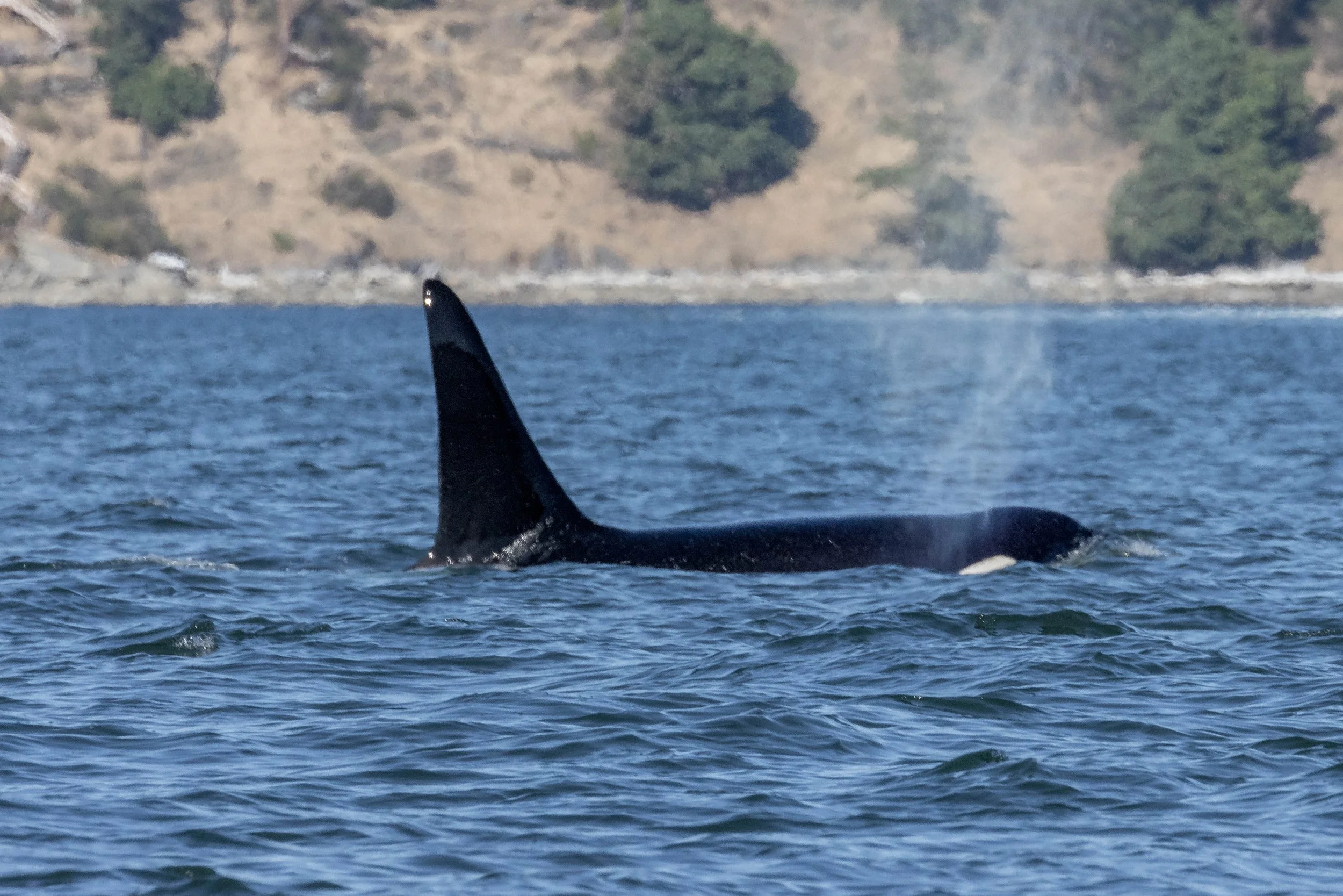 July 13, 2024, 3:30 PM - The T101s in Stuart Channel