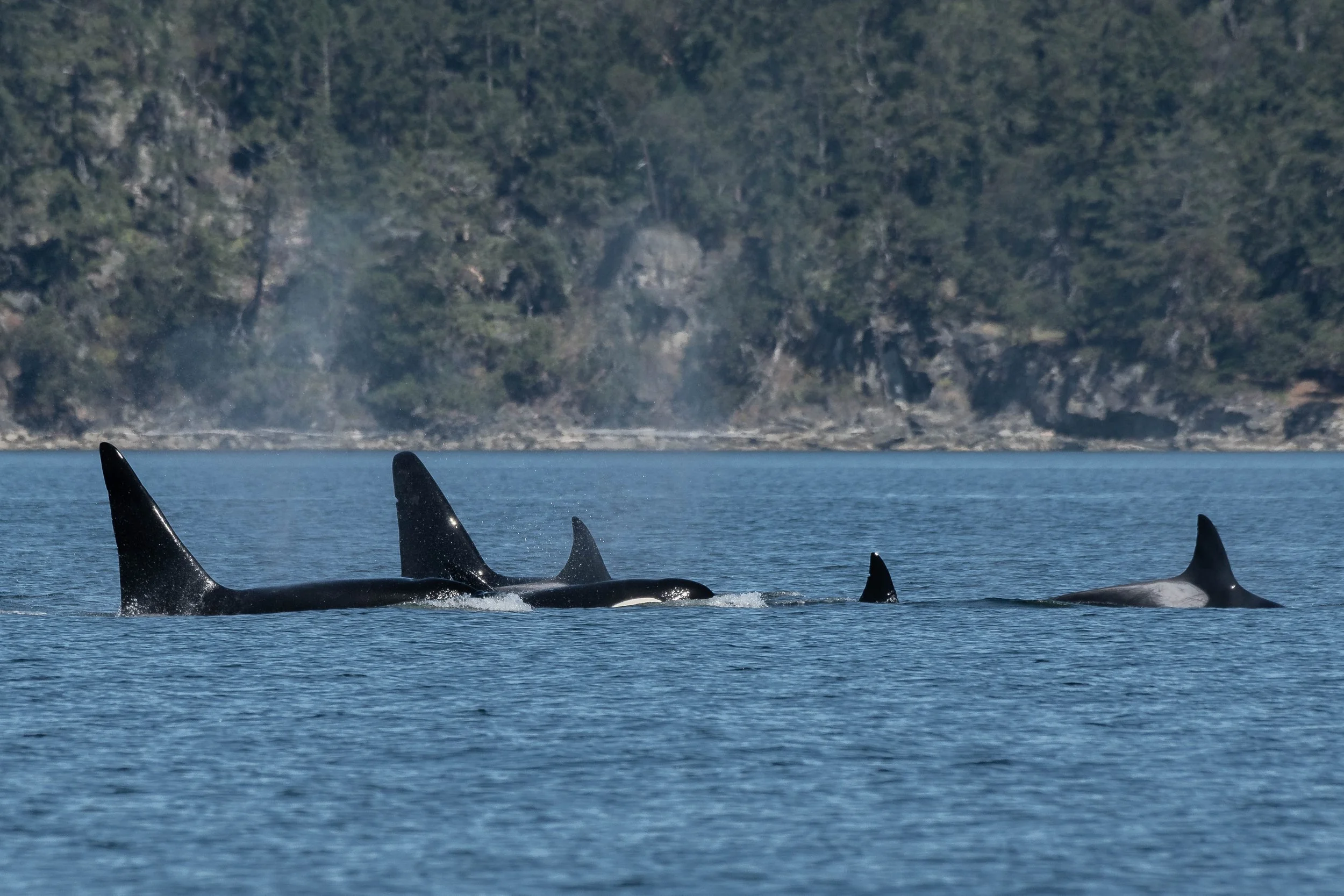 August 29, 2024, 10:30 AM - The Boys are back in town!