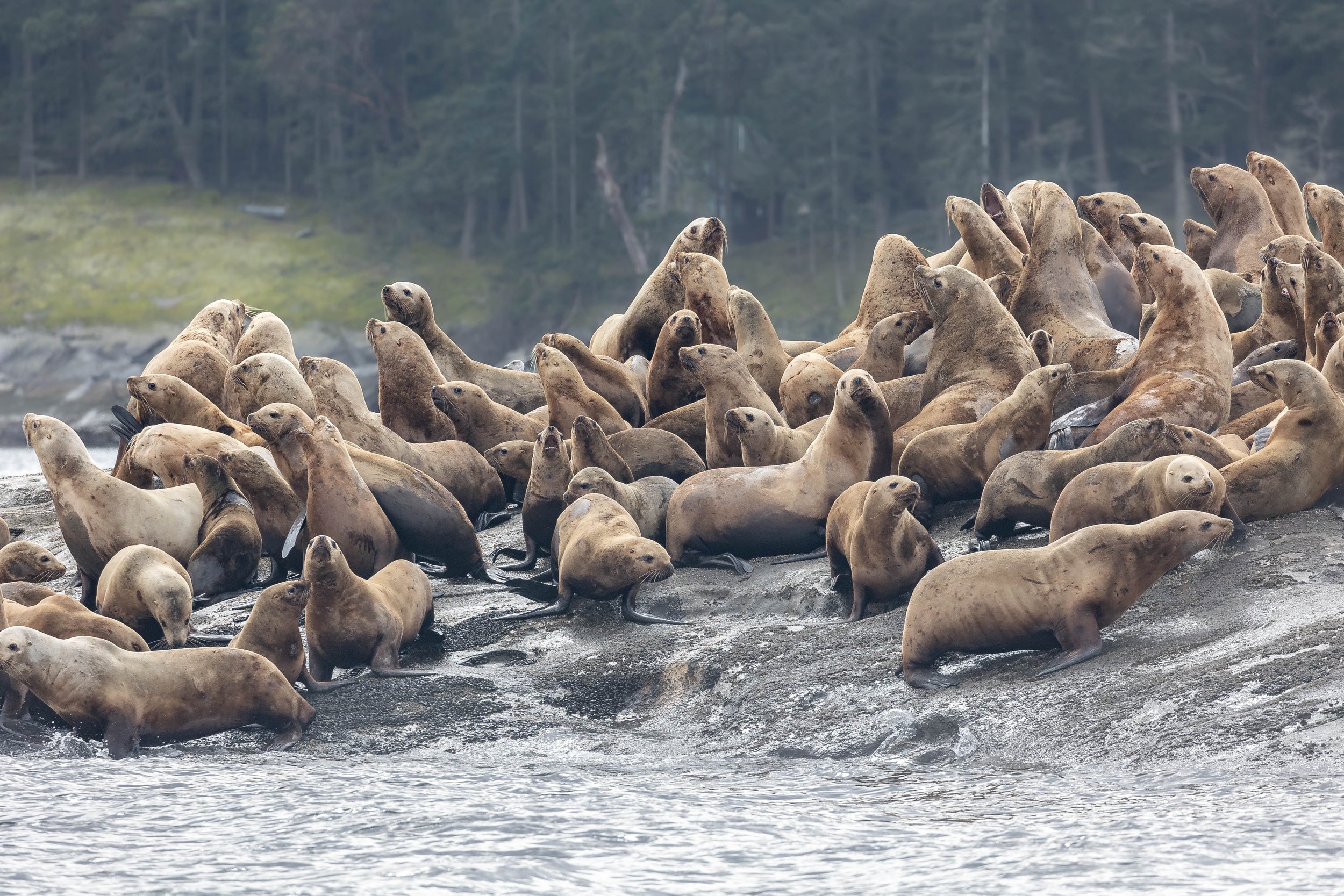March 21, 2025 - Adventures around the Southern Gulf Islands