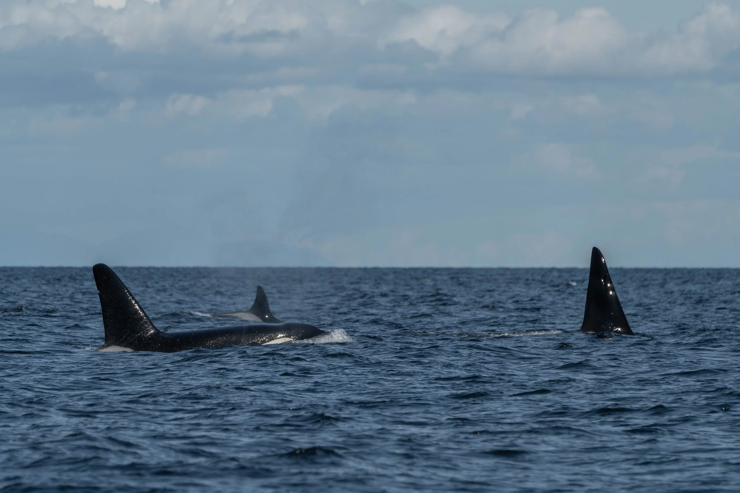 April 21, 2025, 12:30 &amp; 2:00 PM - The T019s off Valdes and Noah on his own