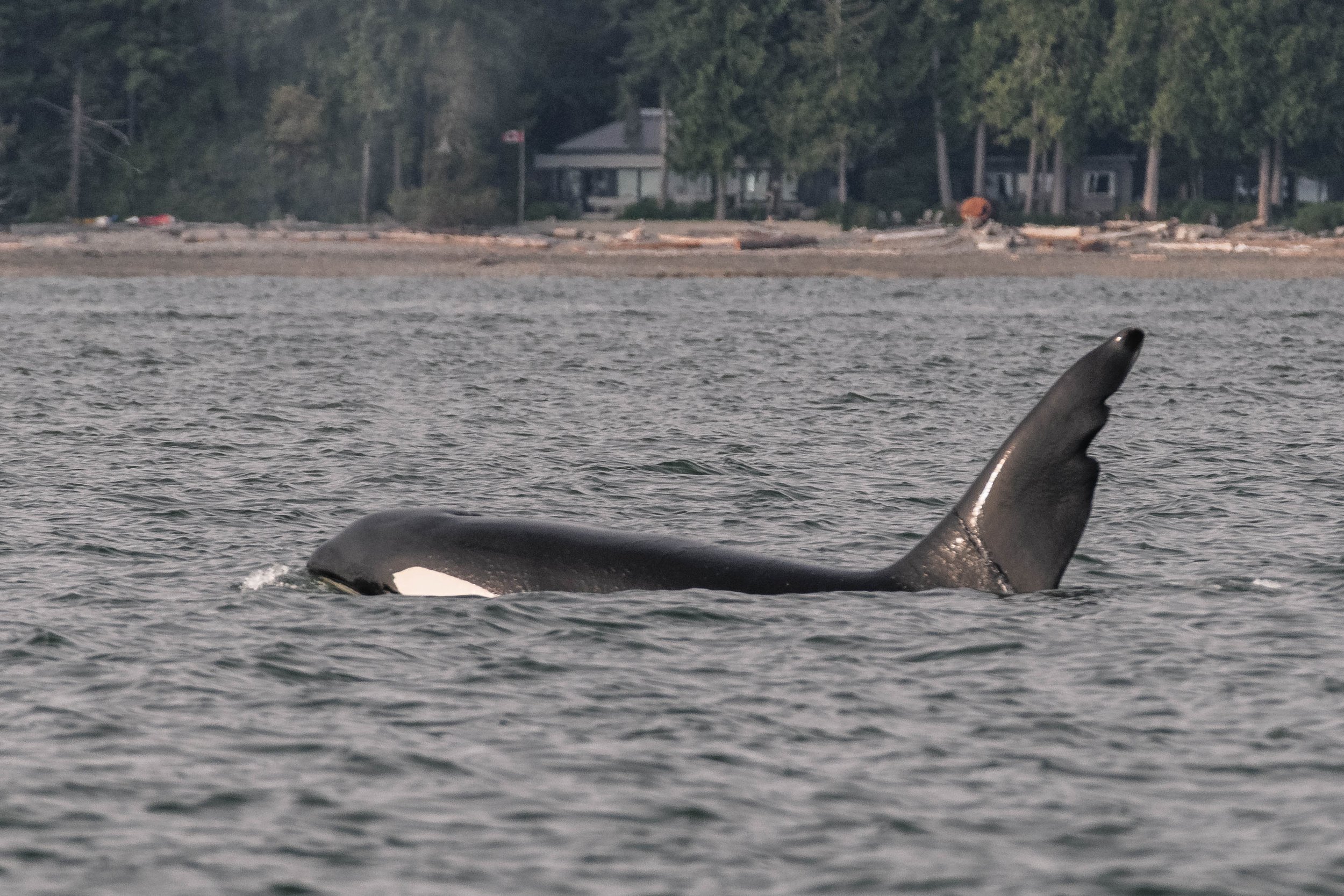 June 13, 2025, 3:30 PM - A double double in the Strait! 