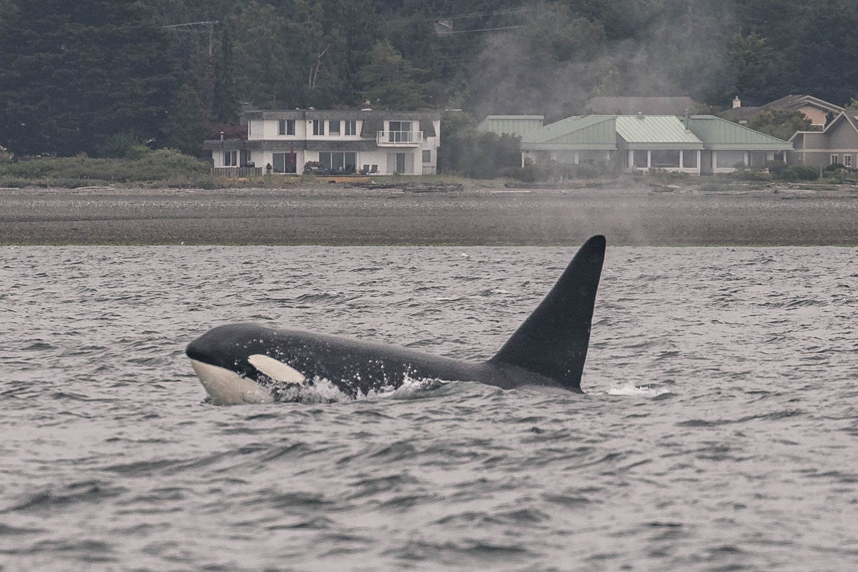 June 27, 2025, 10:30 AM - Double the species, double the fun!