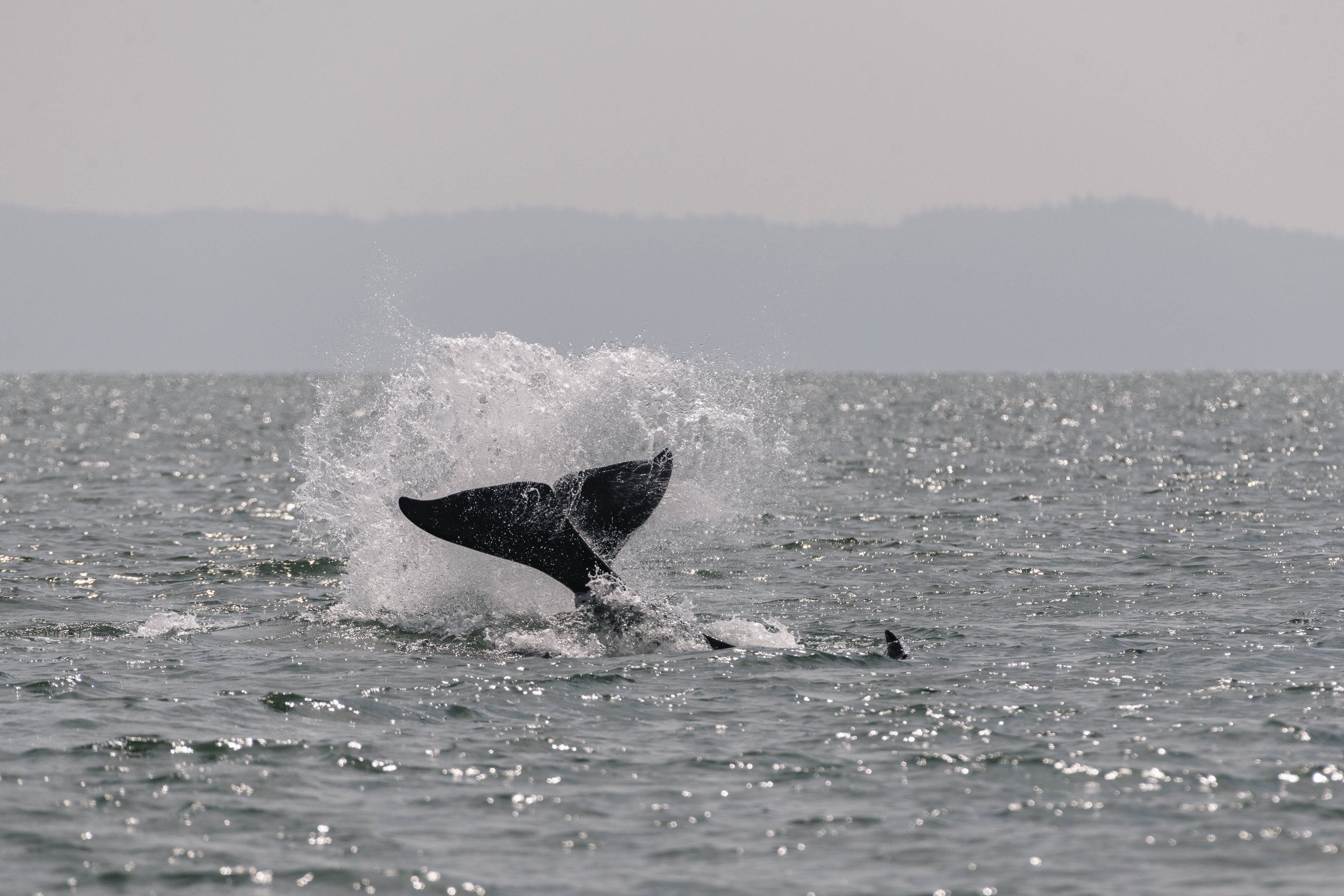 August 4, 2025, 10:30 AM - A double double in the Strait. 