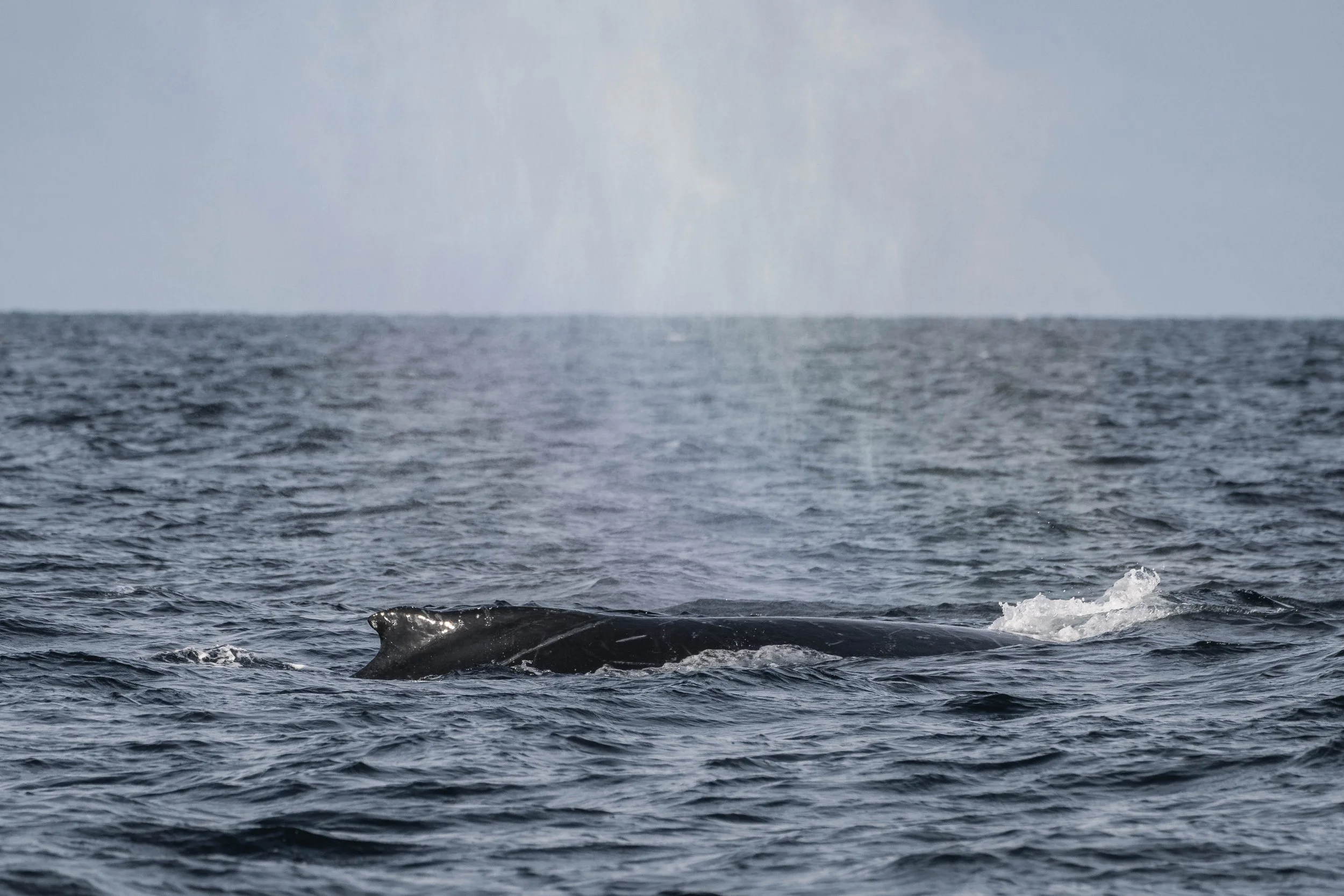  A light “rainblow” as the sun catchs Graphite’s exhale. 