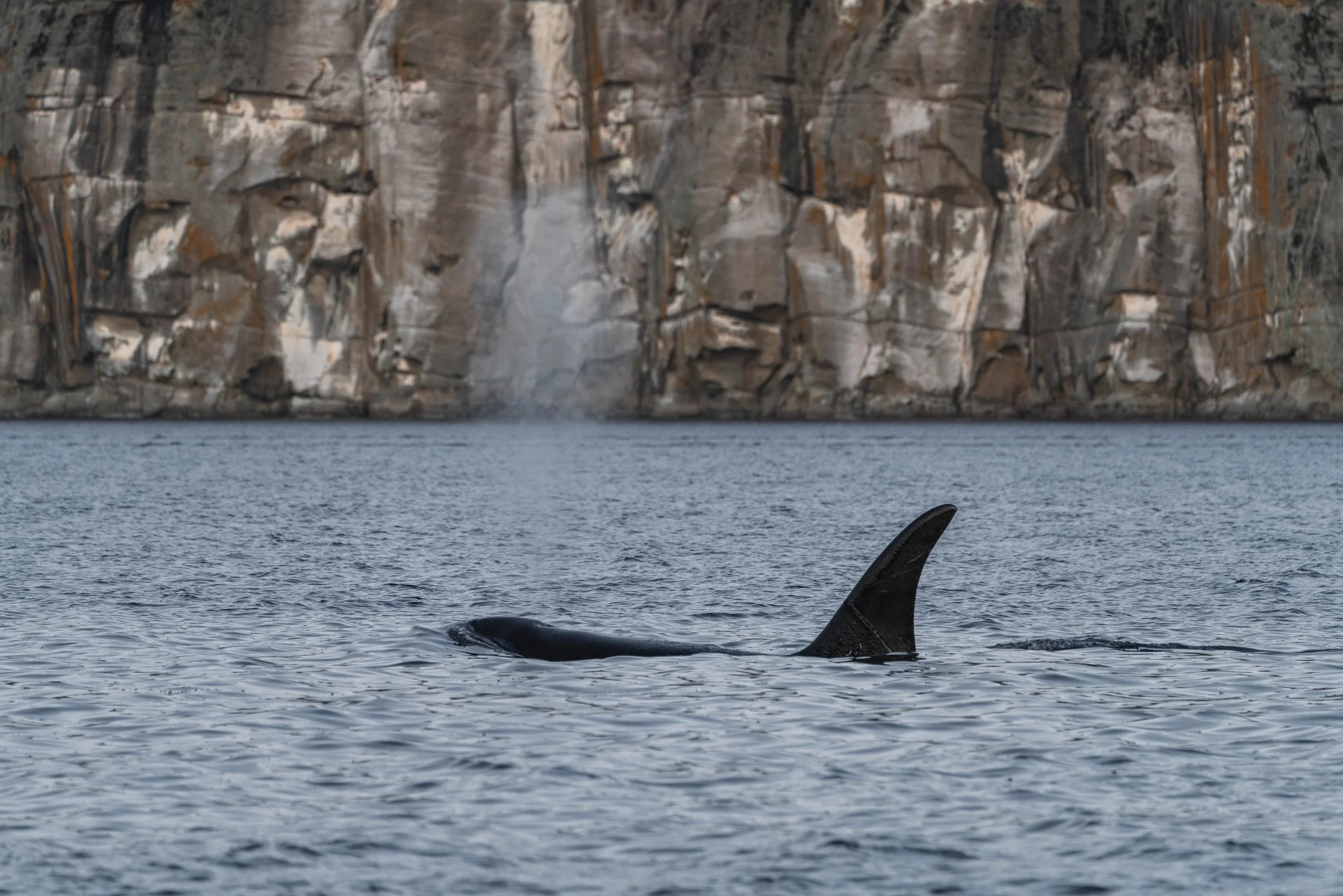  T049A3 Nat exhaling as he surfaces. 