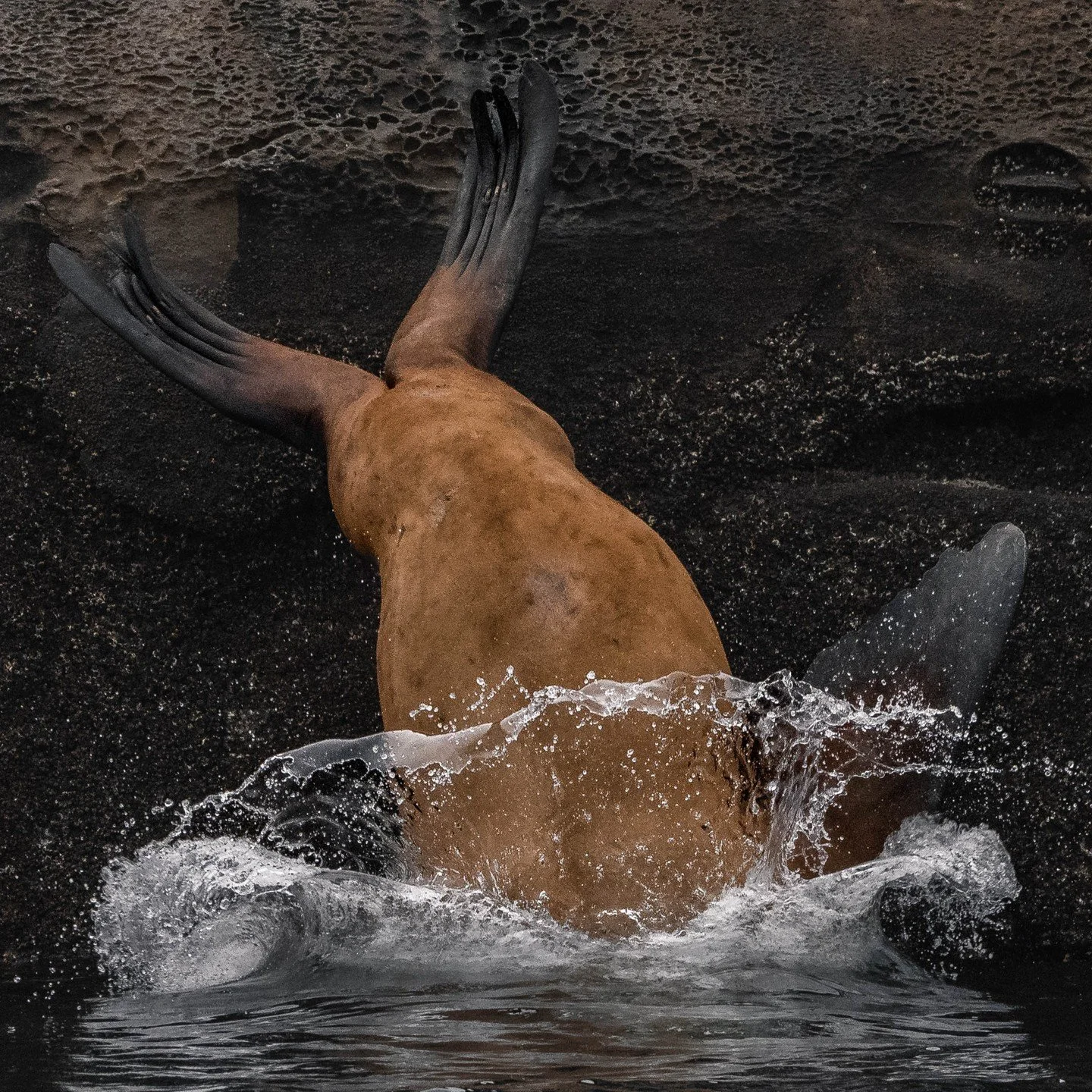 We are jumping headfirst into our Holiday Season preparation here at VIWW! 🎅 It's time to decorate, bake cookies, and celebrate!

📸: Val Watson