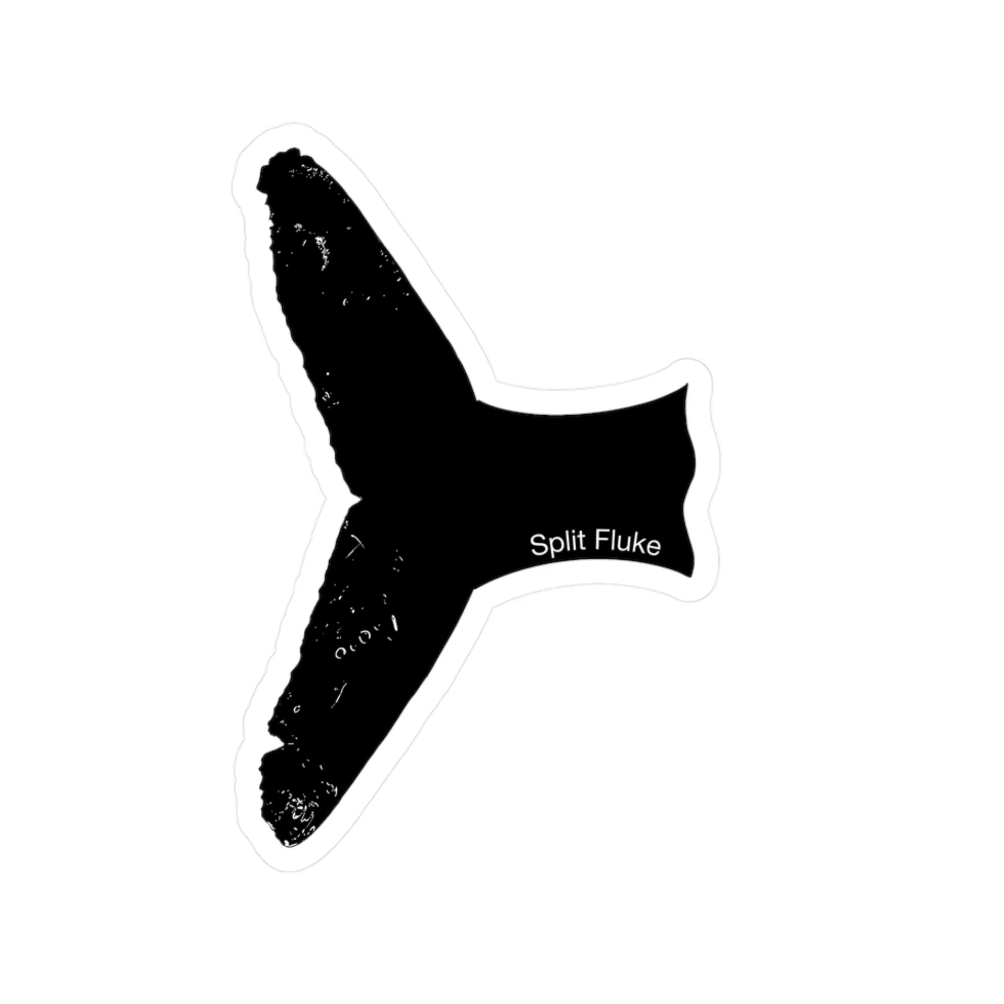 f9a473026fe8590d569ccddf5cb38b36