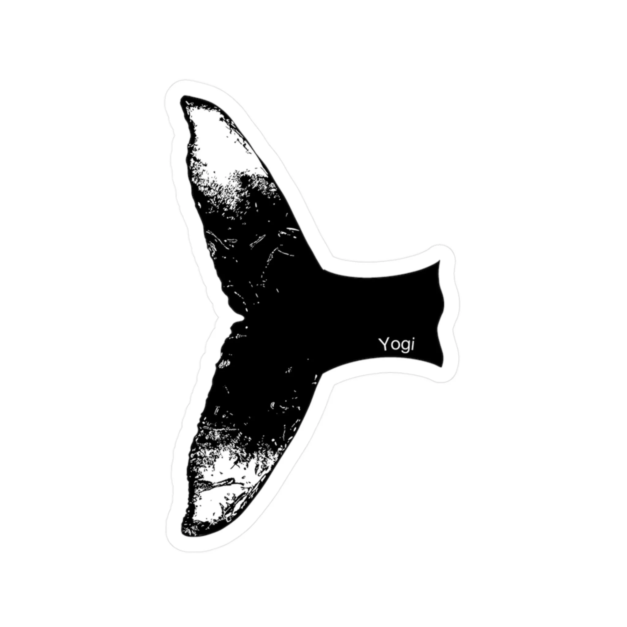 7d4ba18d4e360a00fab9ad491a5989b5