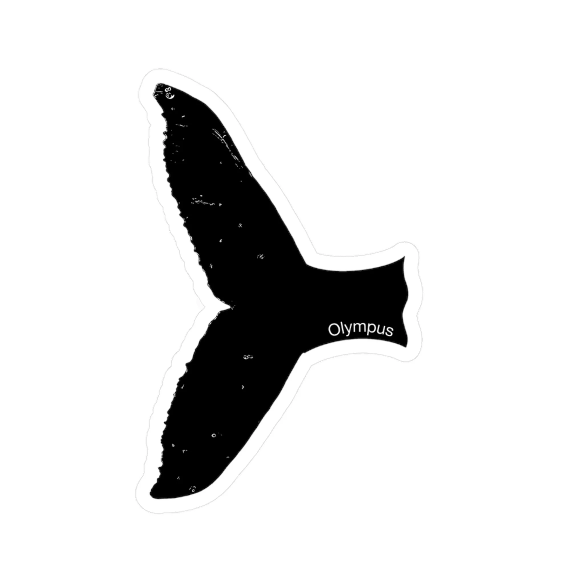 8388303d0c9ac5ae4f67162732da2996