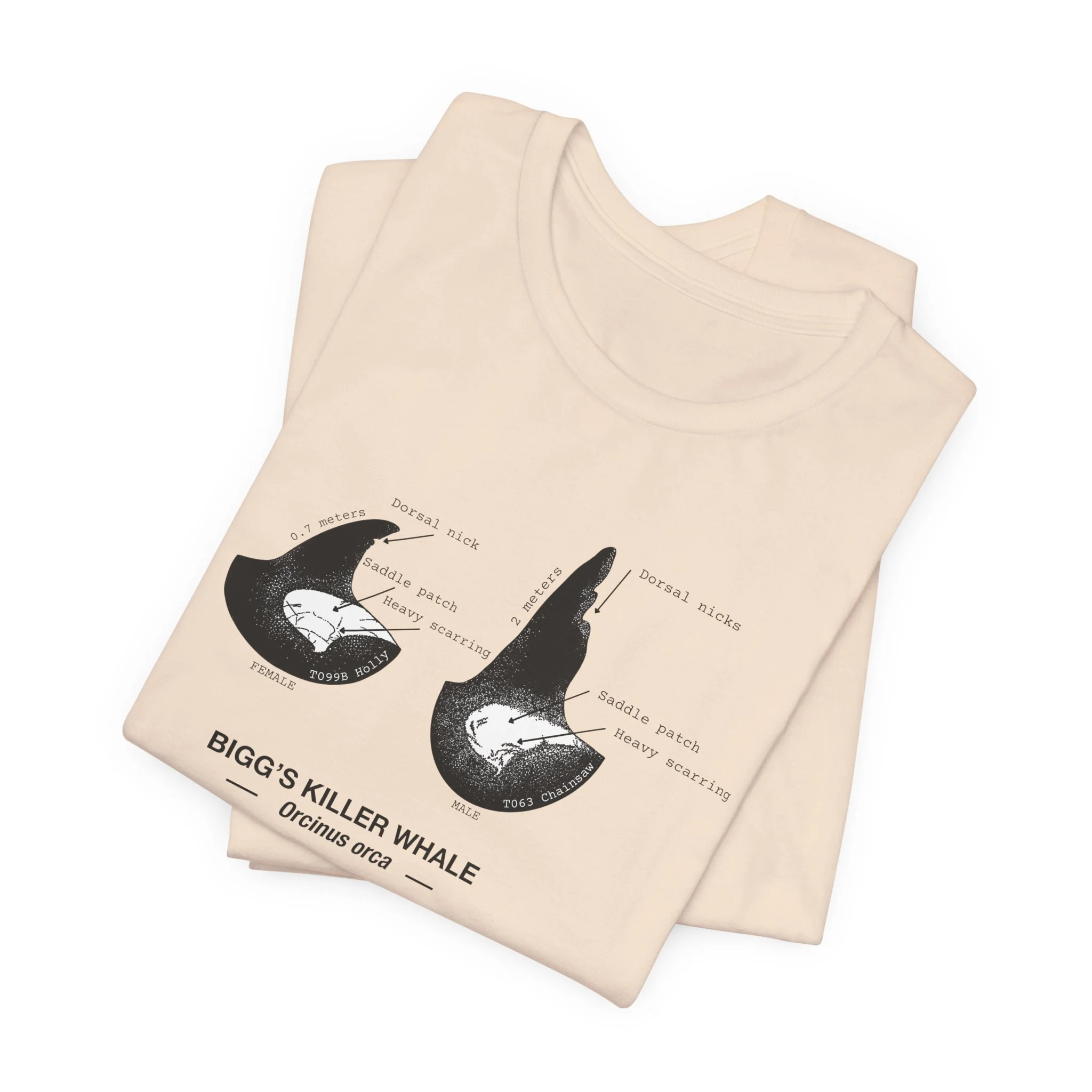 4f0cd7ab38e1196ac264fe28763f85b4