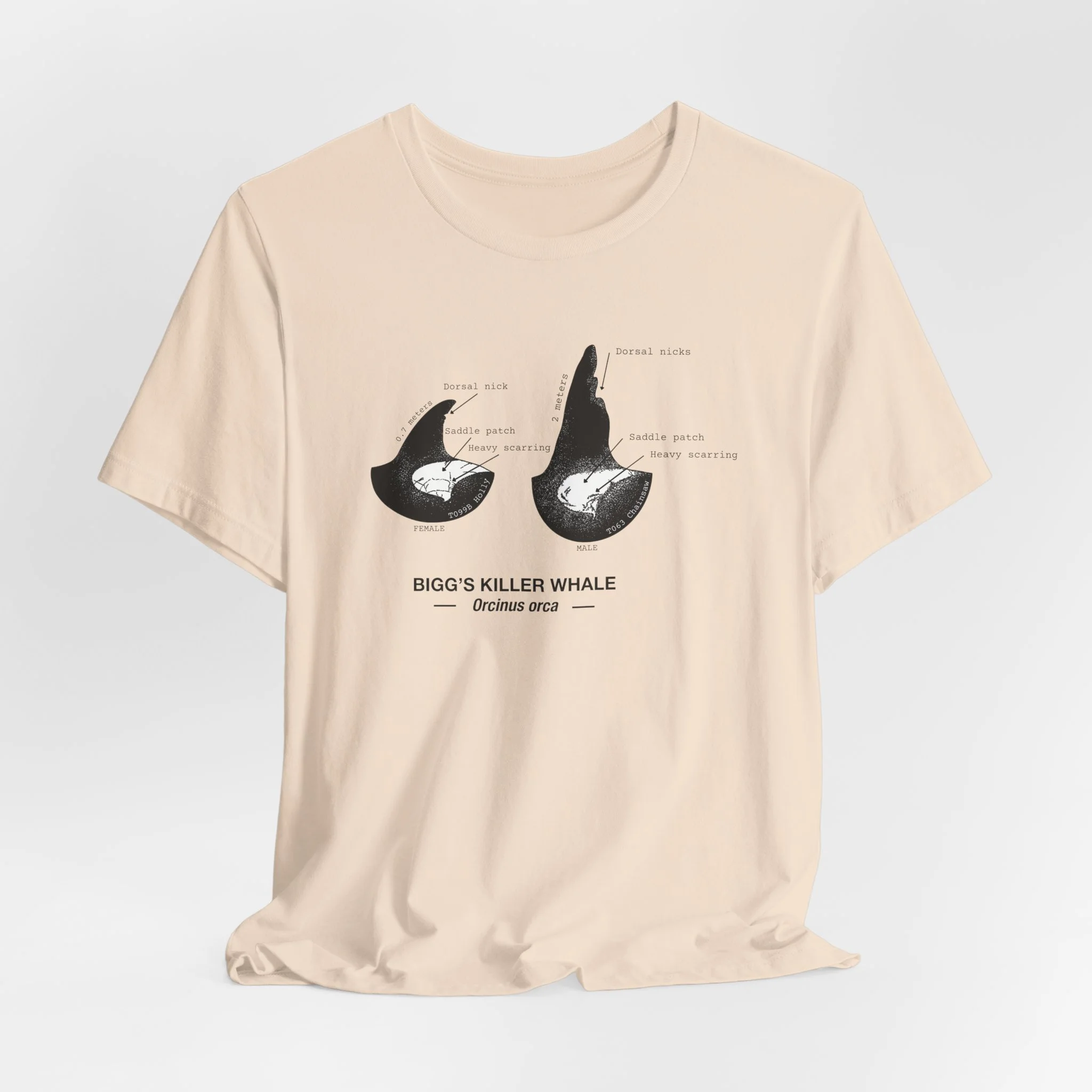 9e7d6d7c696e0d3ac63f6b1bac44a4a3