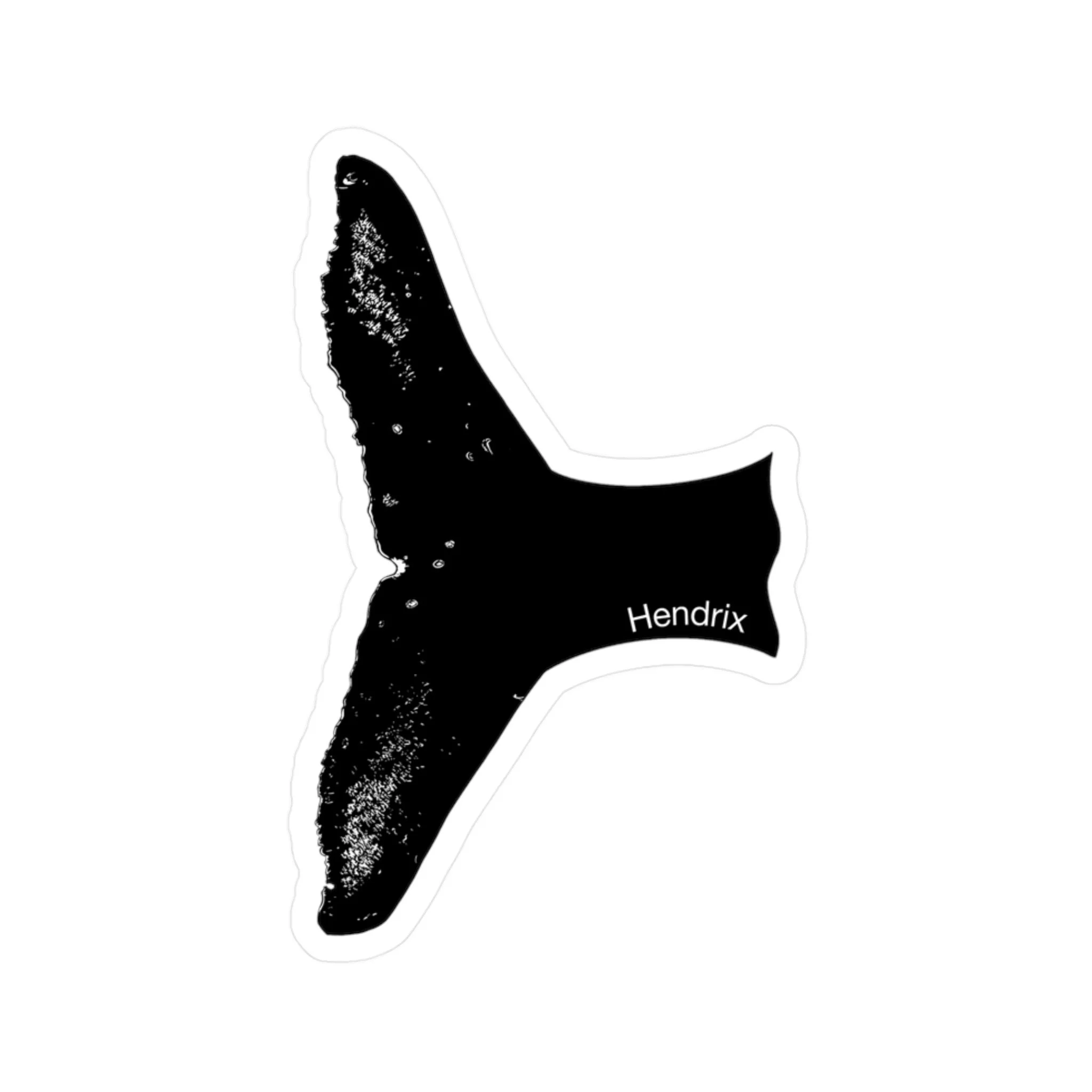 3fc4850902545d3015a7f5ff224ec589