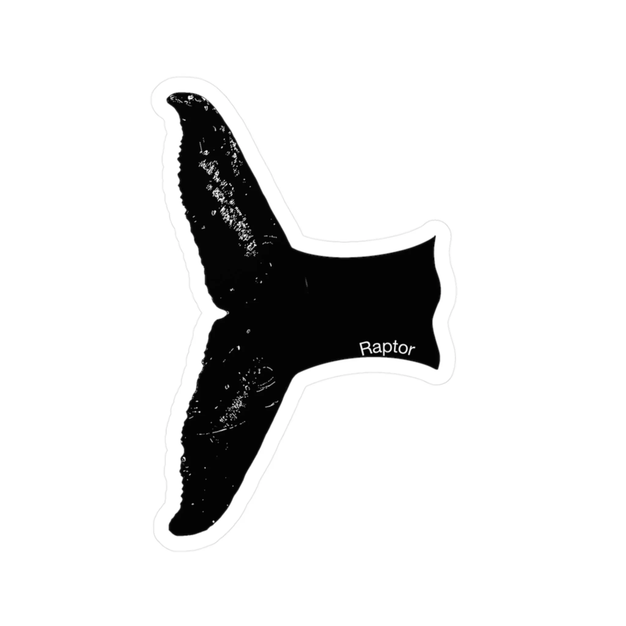 27a5d44910205cc2bc8bd26f2ba858f1