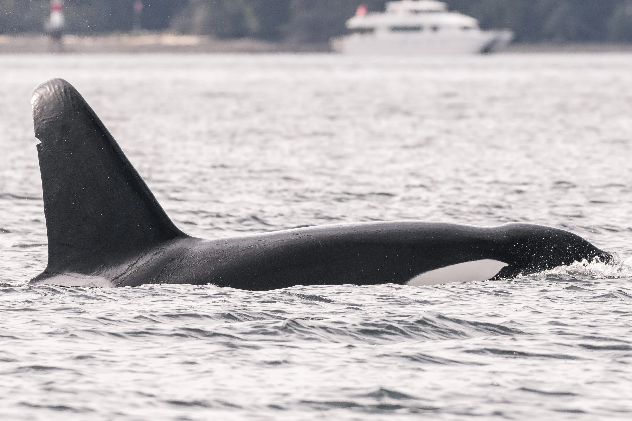 March 27, 2026 - The wait was worth it! 