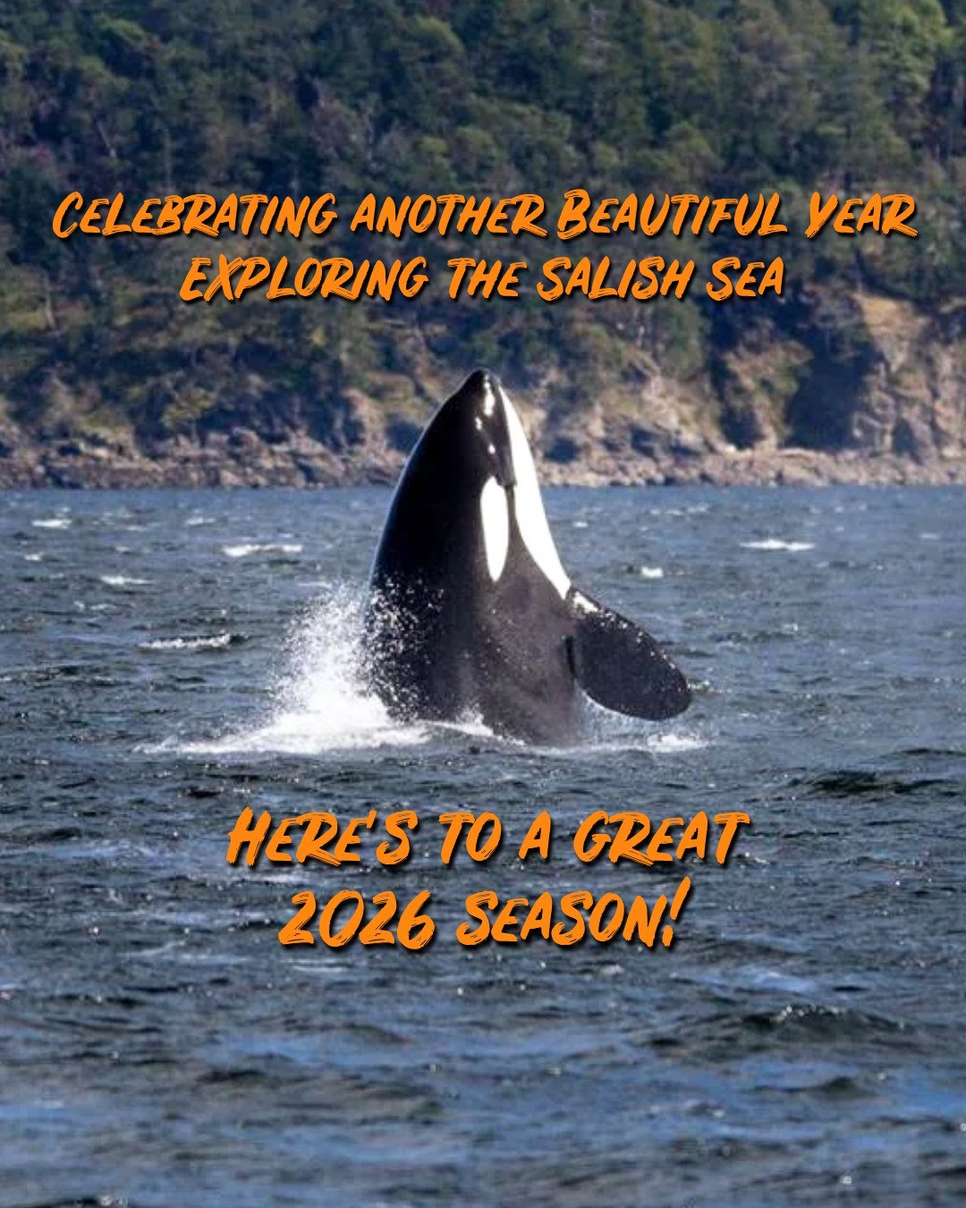 April is a special time of the year for us, as we take in the beauty of the coastline and reflect on the past seasons.

Since opening our doors in 2018, we&rsquo;ve grown from a small, passionate crew into a team of dedicated naturalists, captains, a